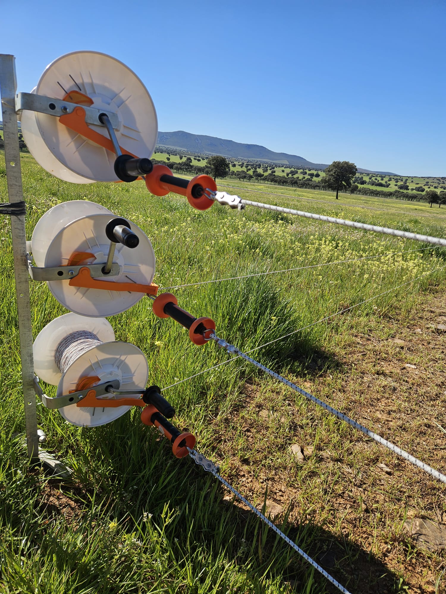 Fincas regenerativas: qué son, cómo funcionan y qué papel juega la cerca eléctrica