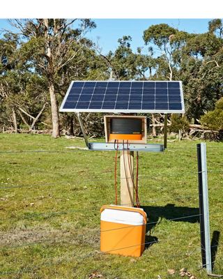 Pastores eléctricos para jabalíes