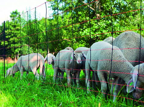 Malla electrificable para ovejas TitanNet