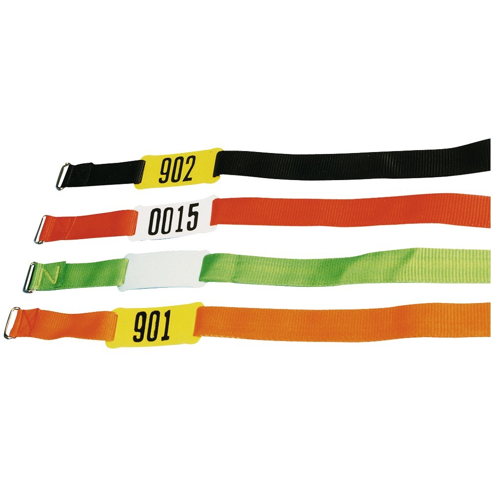 Collar nylon ovino