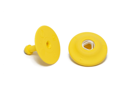 Crotal electrónico HDX amarillo