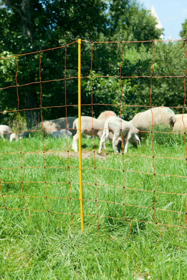 Malla electrificable para ovejas TitanNet