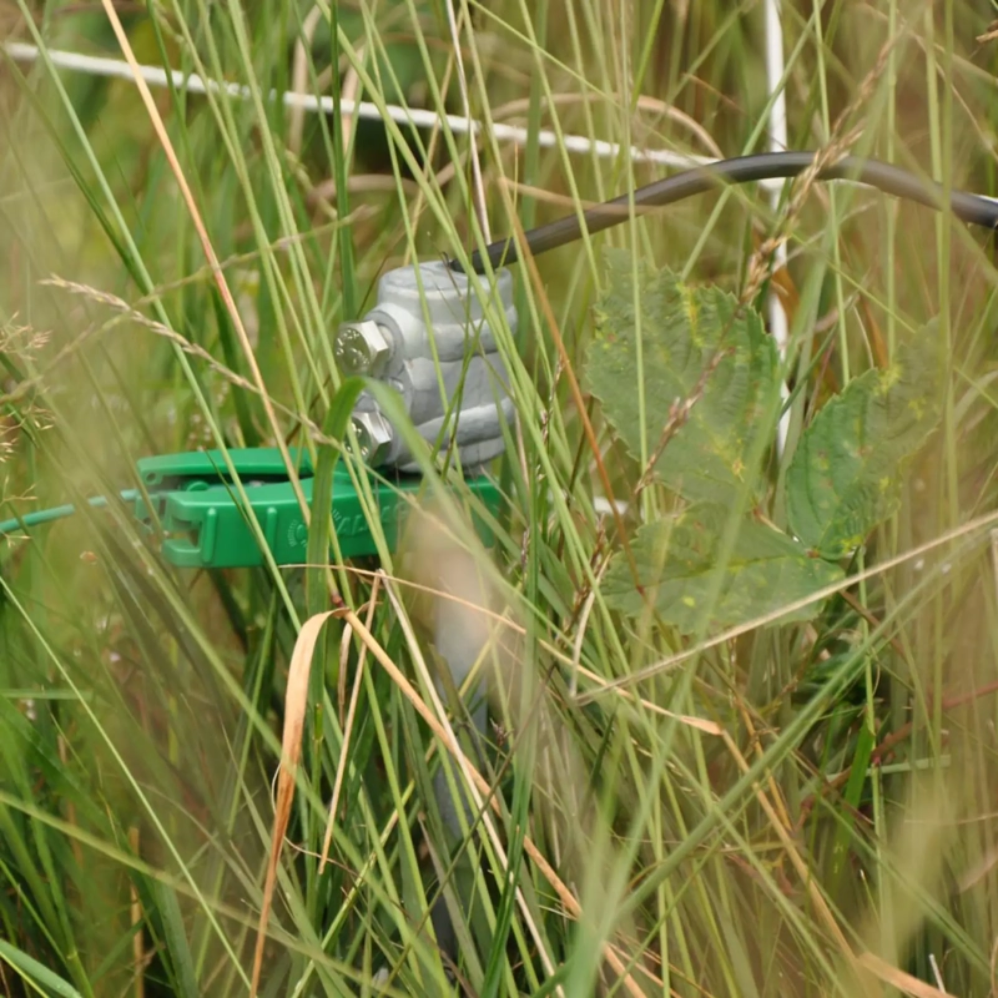 Abrazadera para toma de tierra