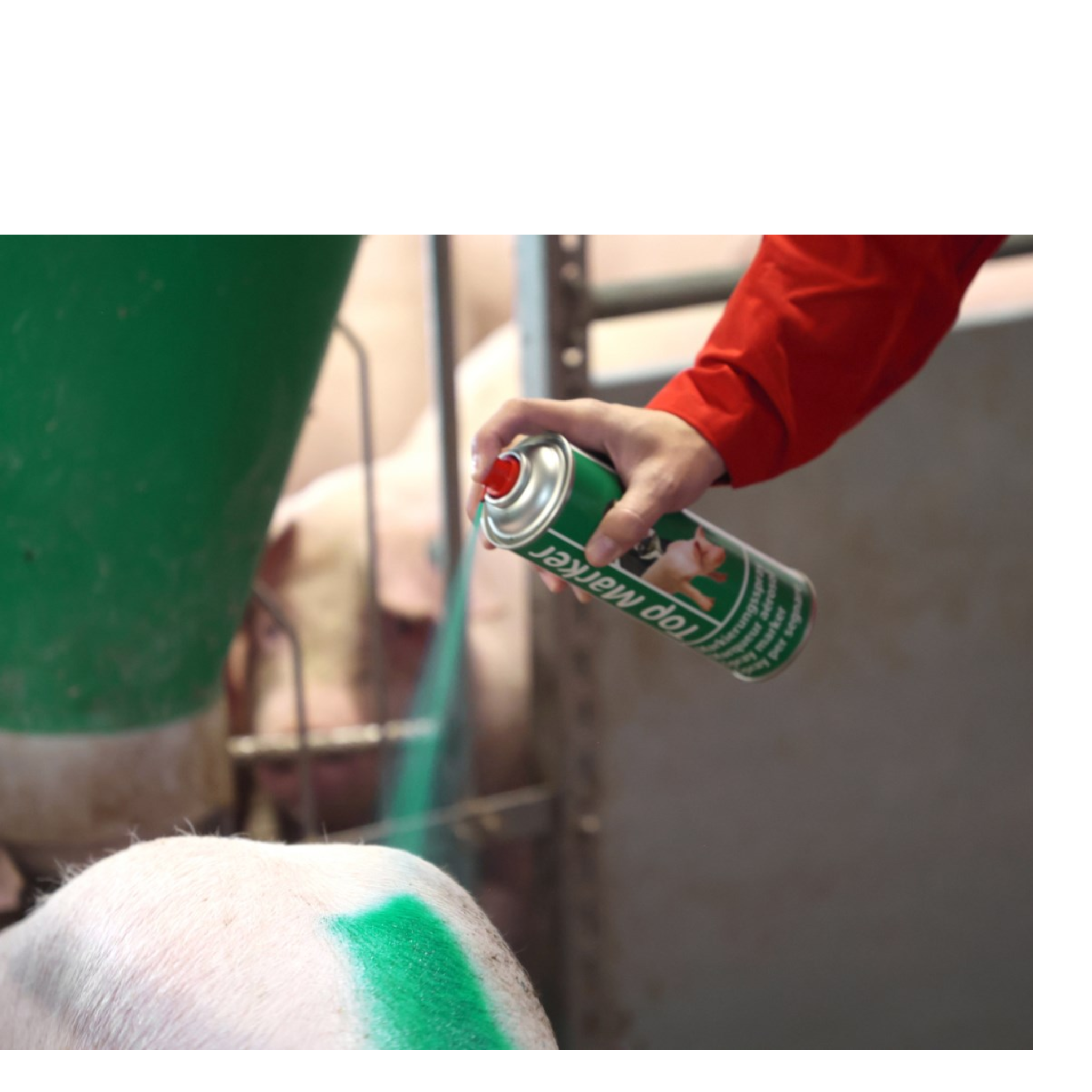 Aerosol top market