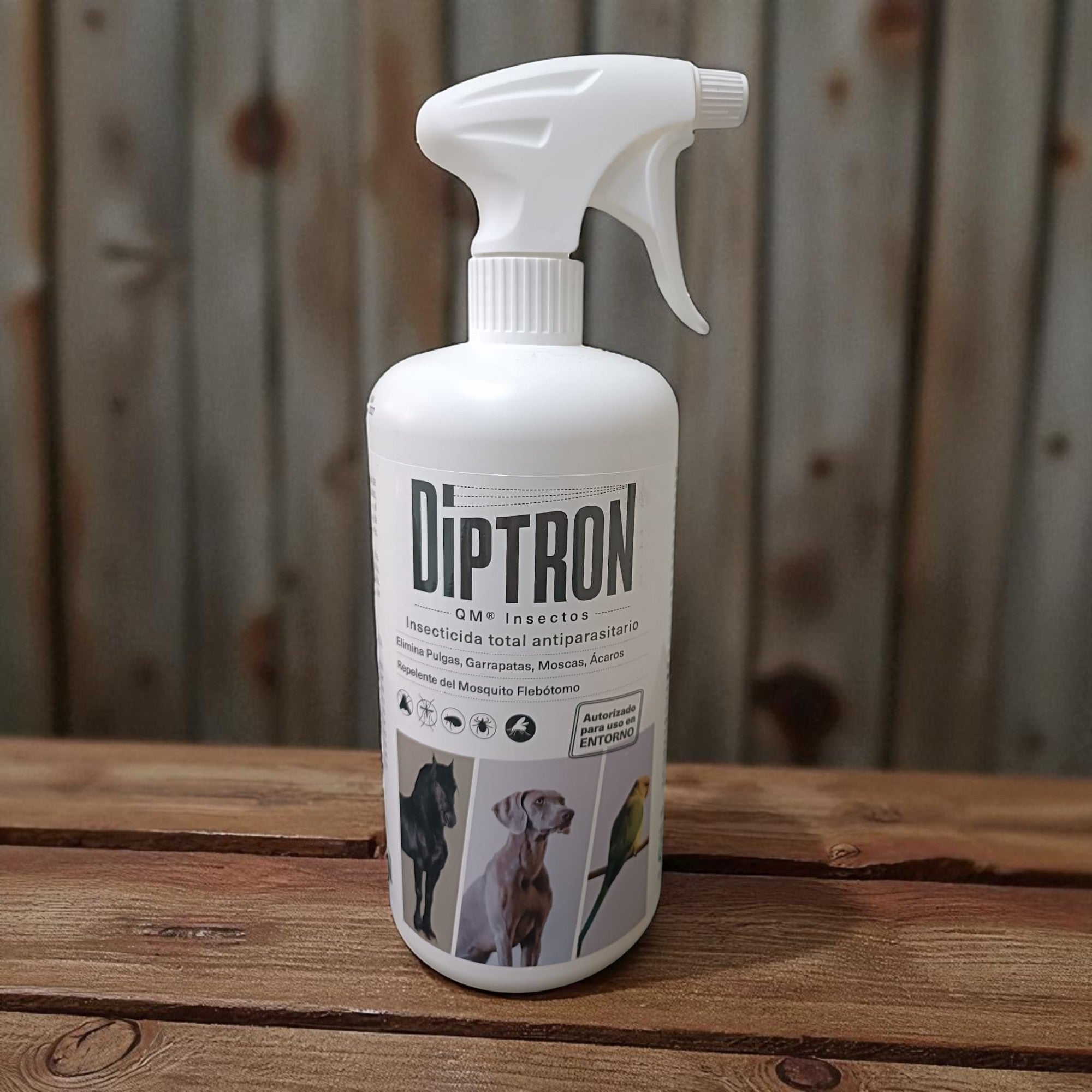 Insecticida Entorno Diptrón QM Spray