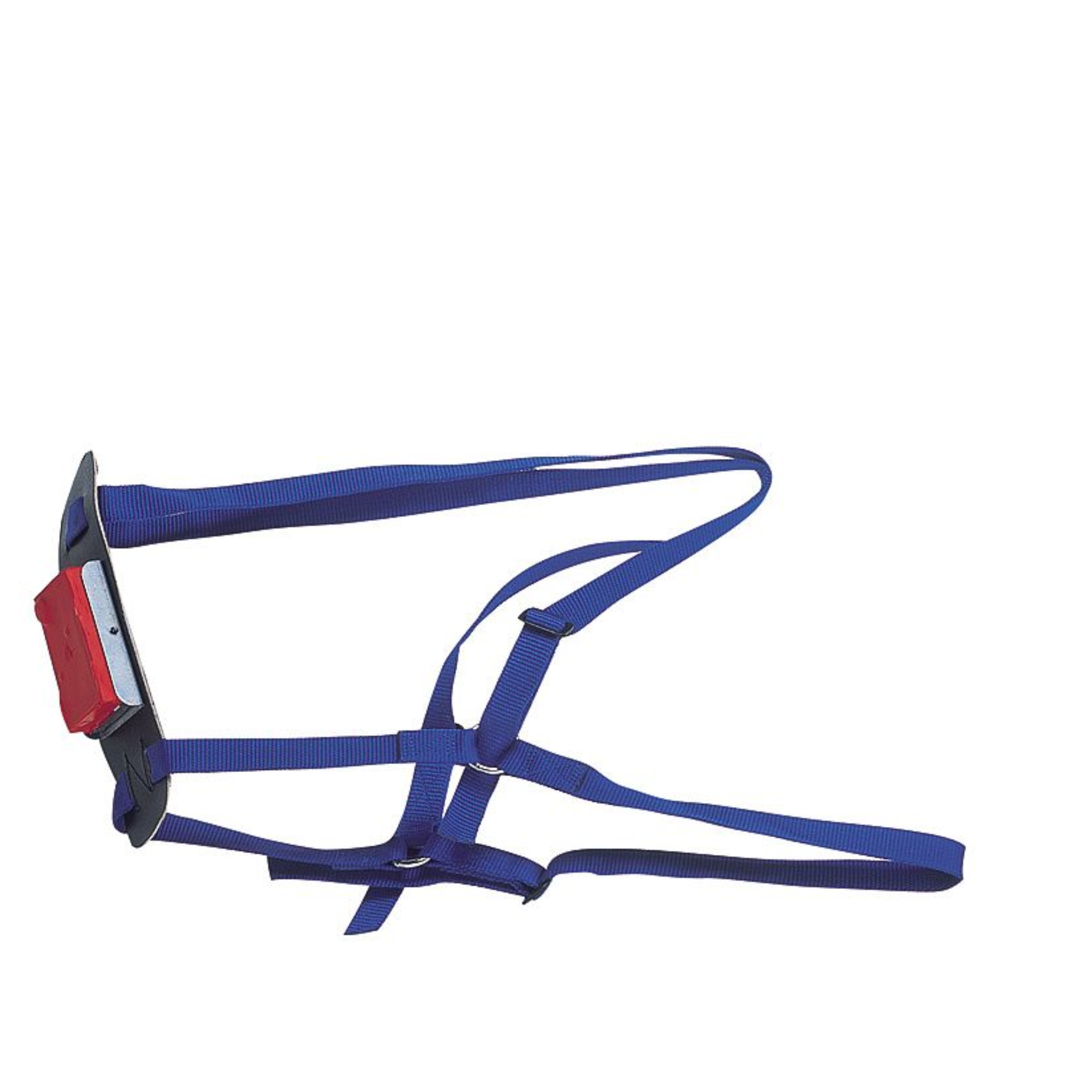 Arnés para moruecos