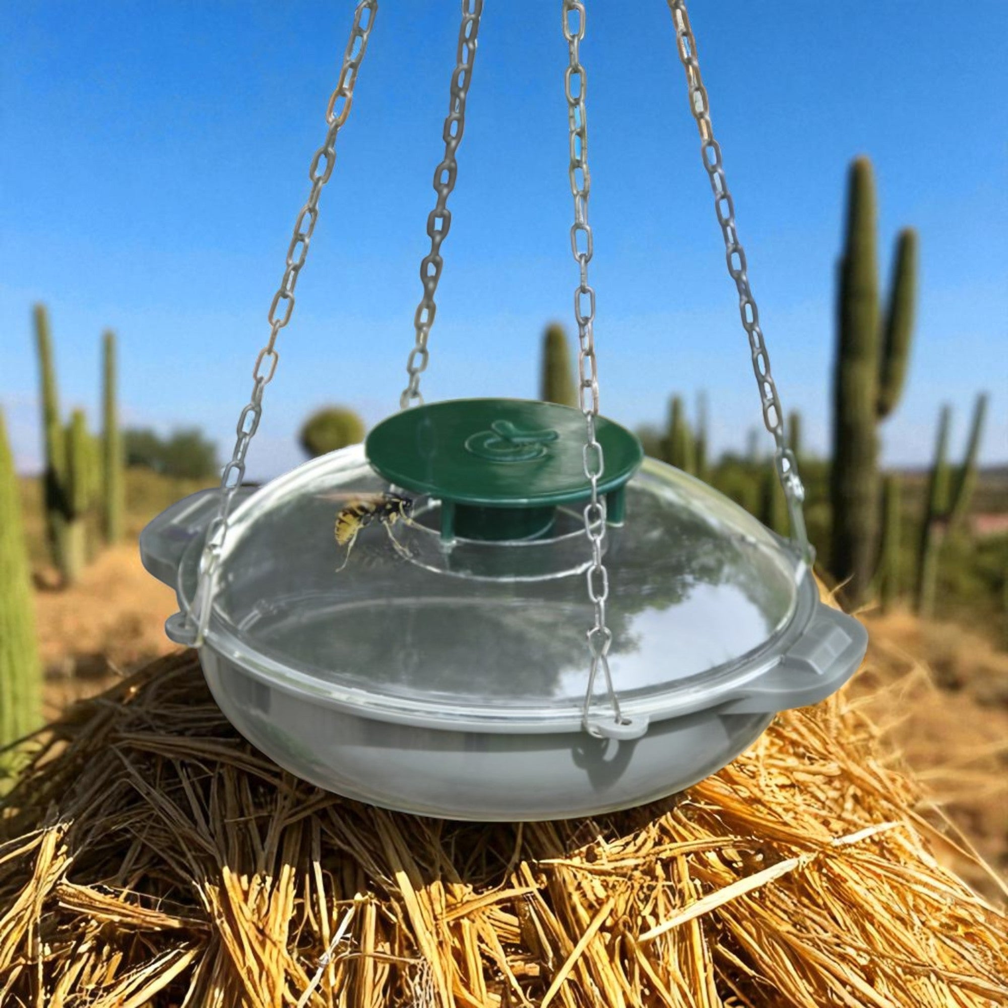 Trampa atrapa avispas