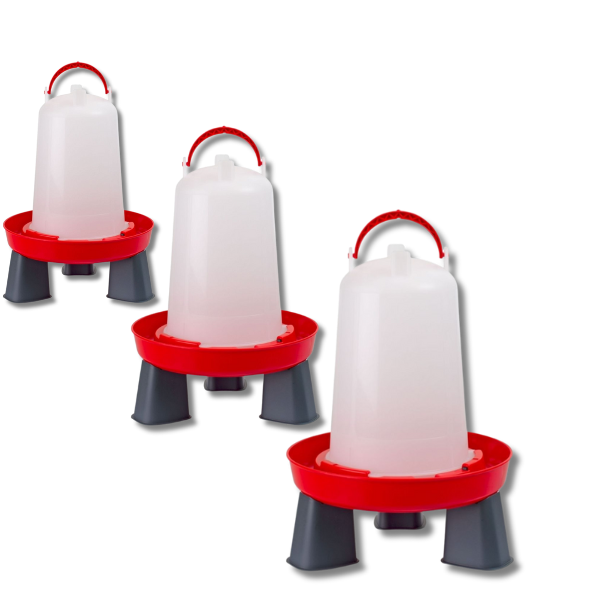 Bebedero de aves con asa y patas