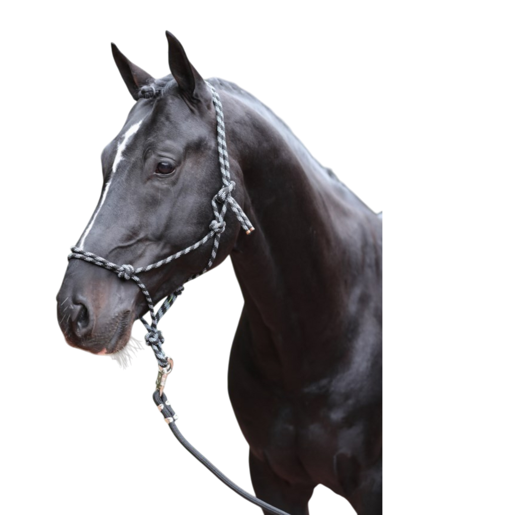 Cabezada de cordón para cuadra