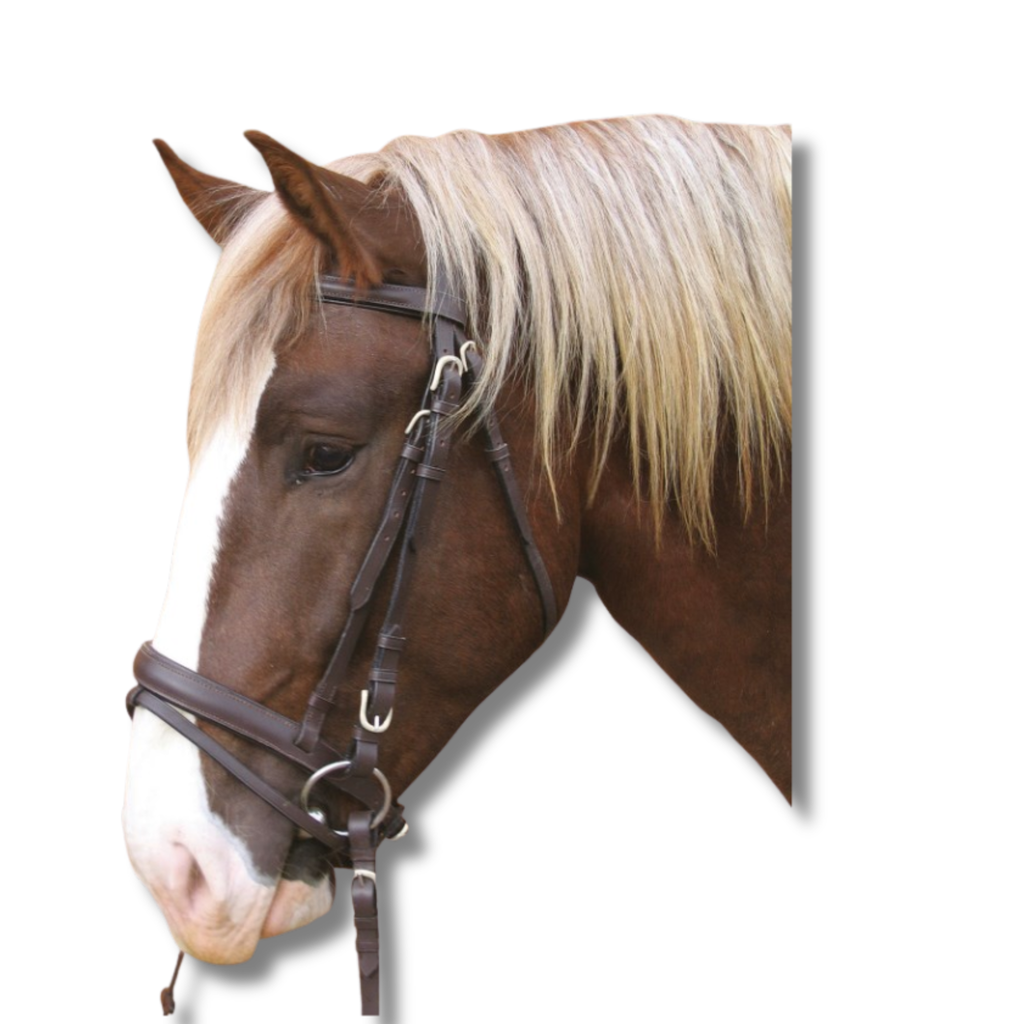 Cabezada de cuero para caballo de trabajo