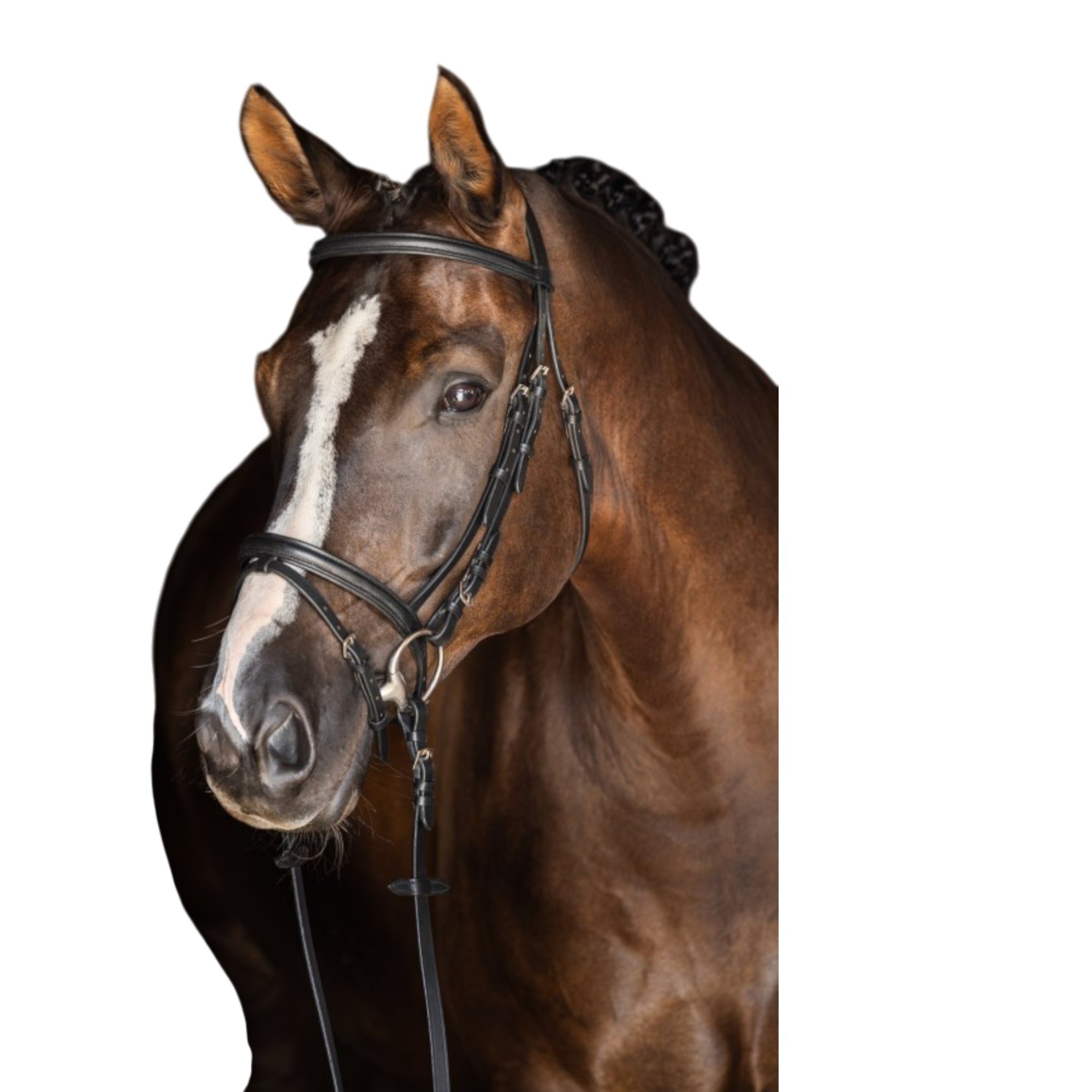 Cabezada estándar de cuero