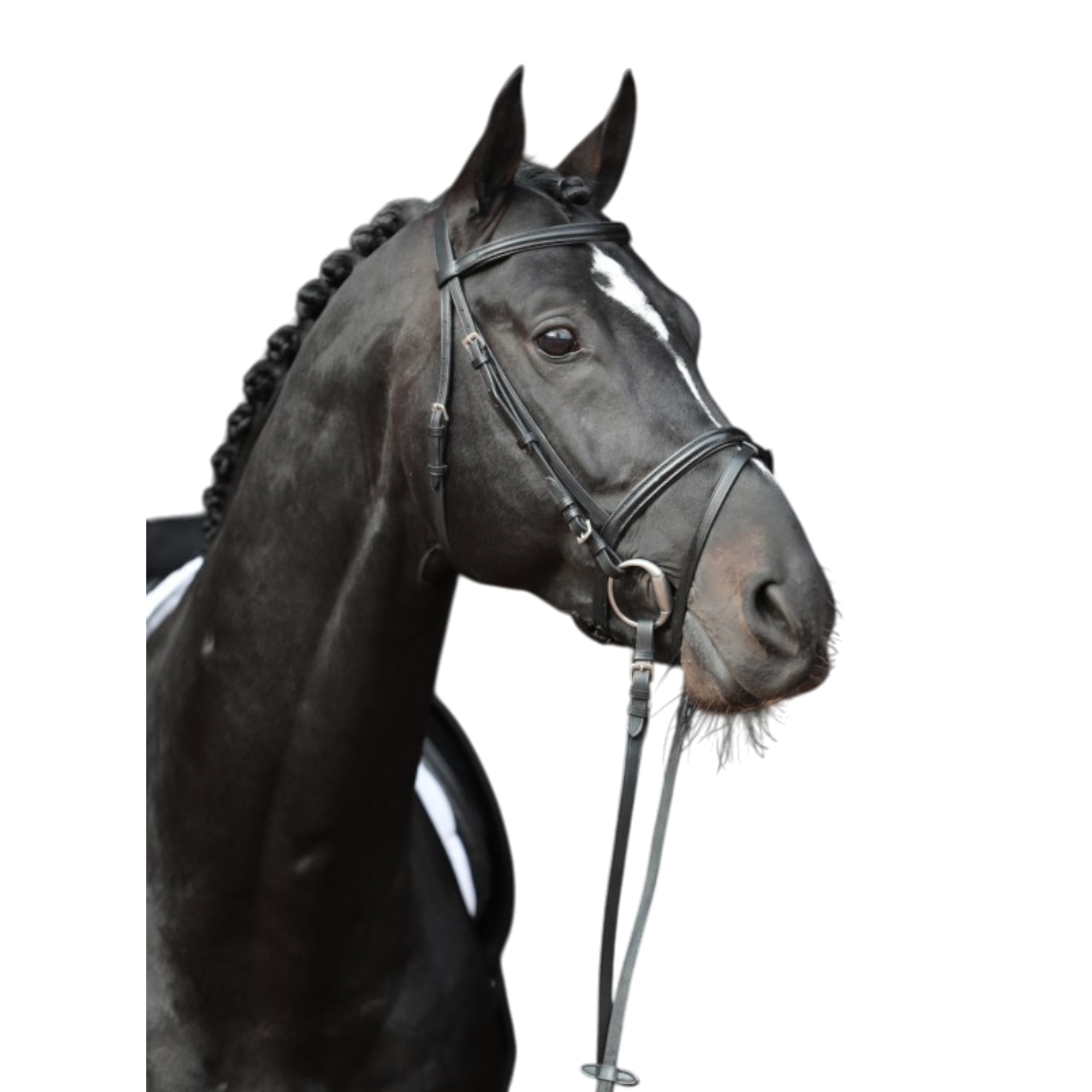 Cabezada estándar de cuero