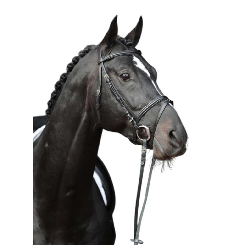 Cabezada estándar de cuero