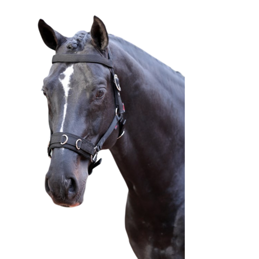 Cabezada serreta sintética