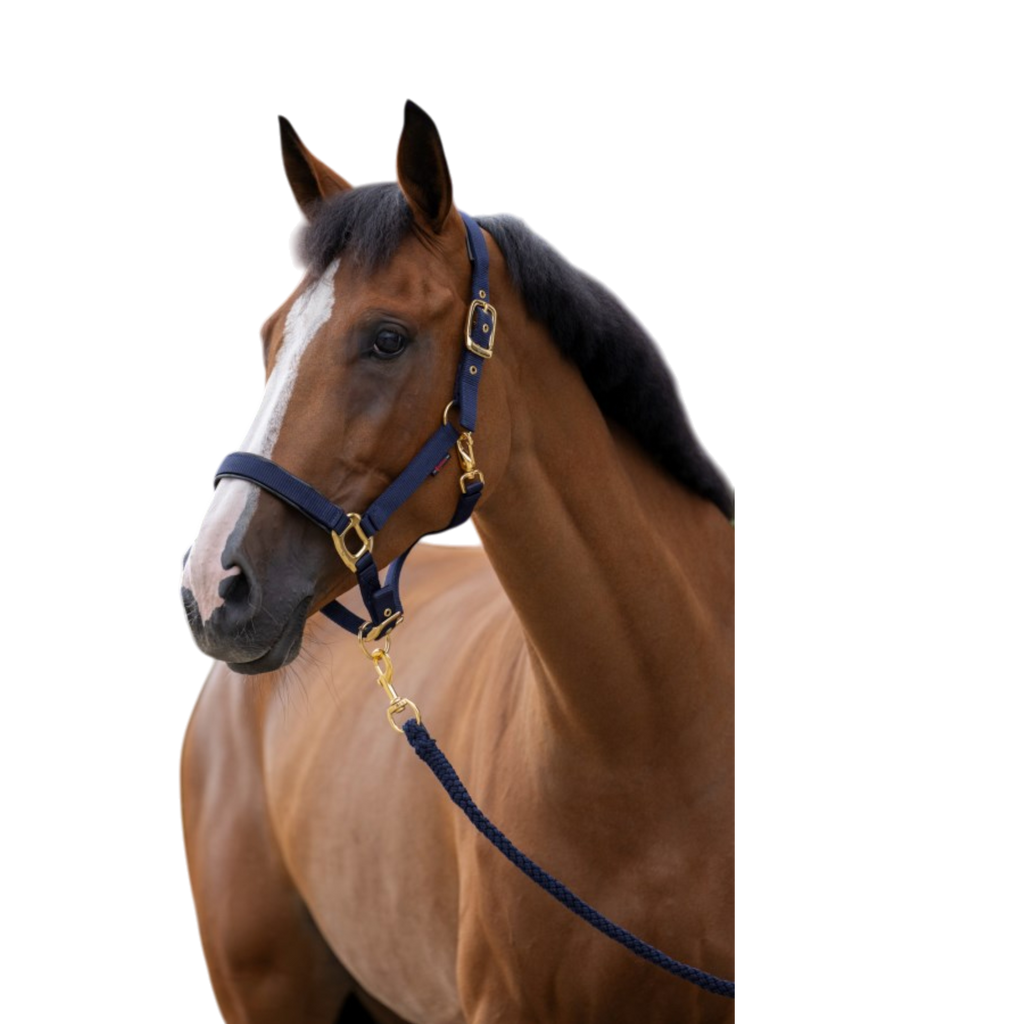 Cabezada de nailon para caballo TopLine