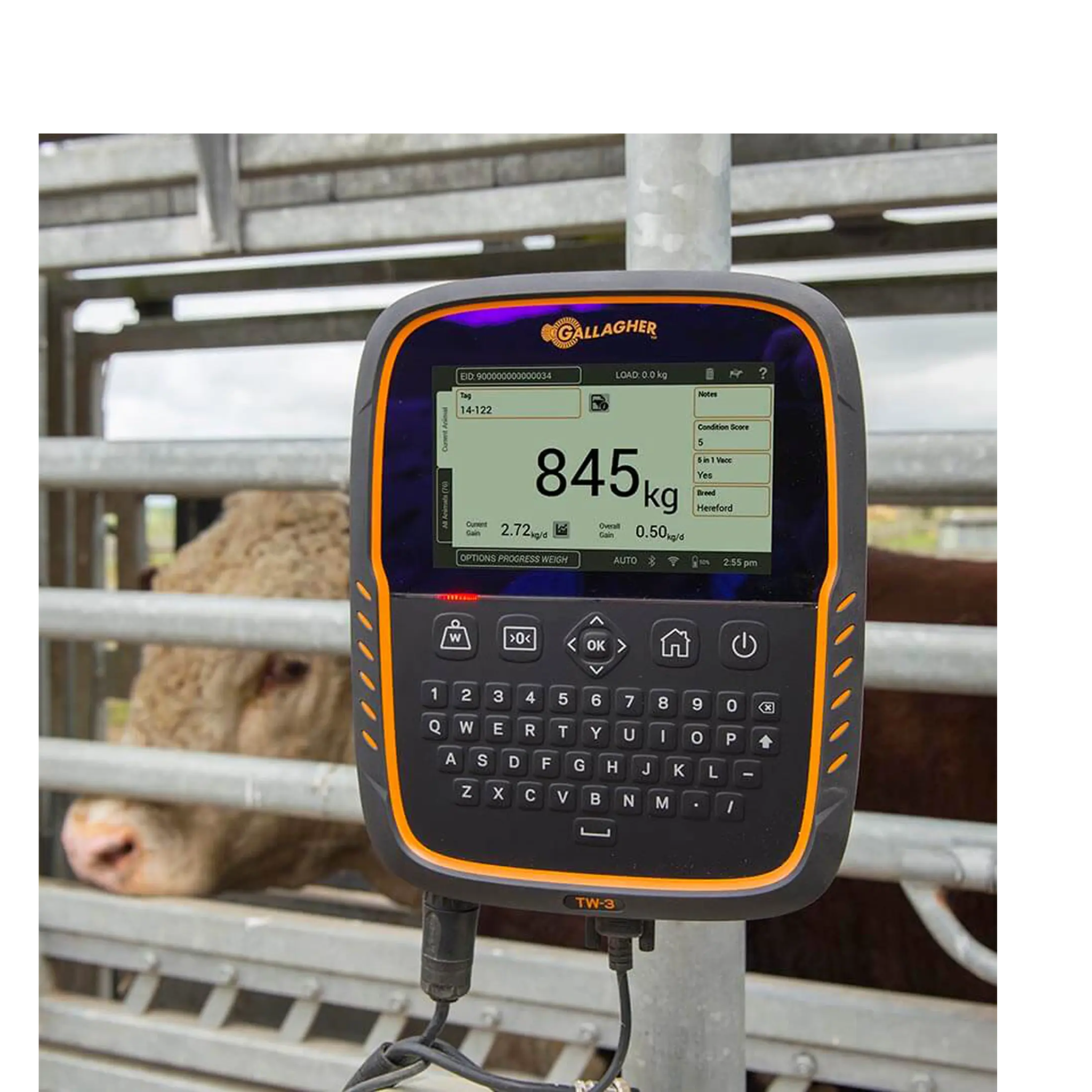 Cabezal de bascula TW3