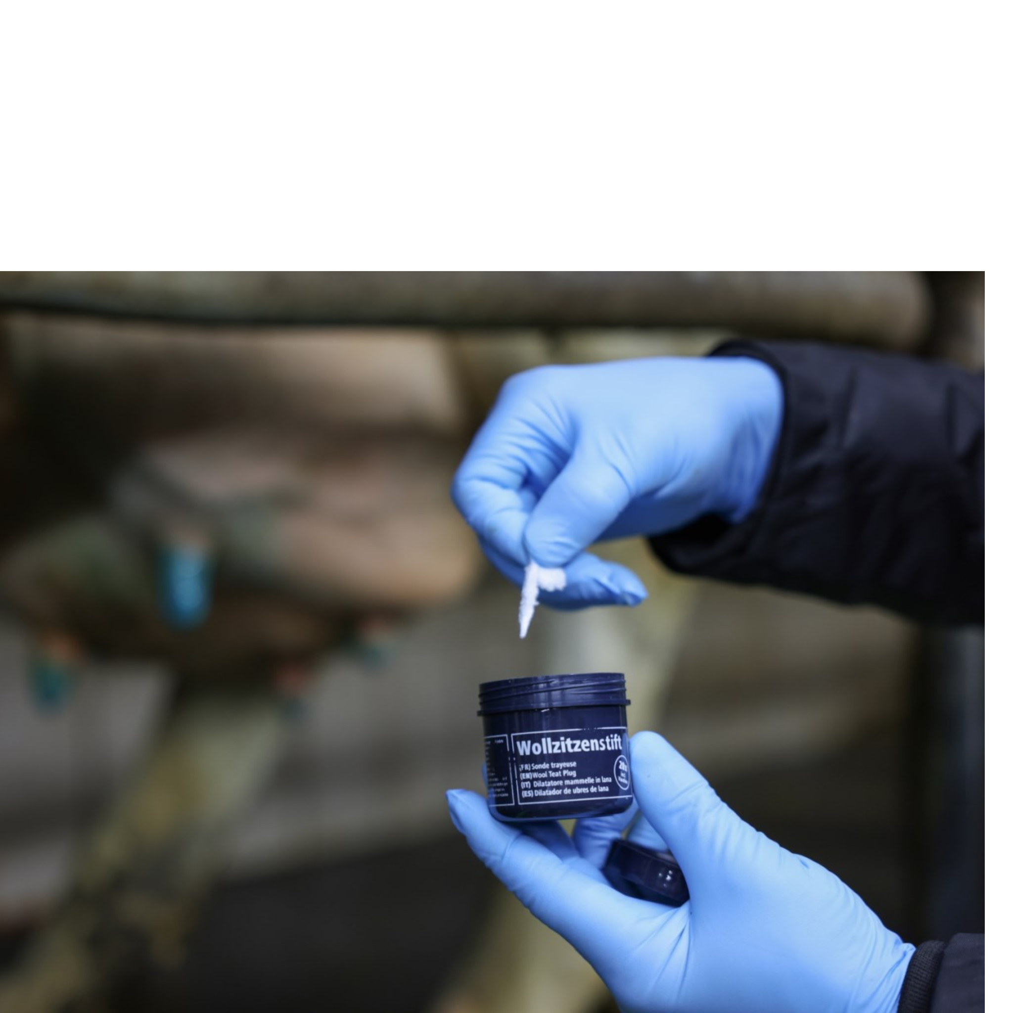 Cánulas mamarias dilatadoras