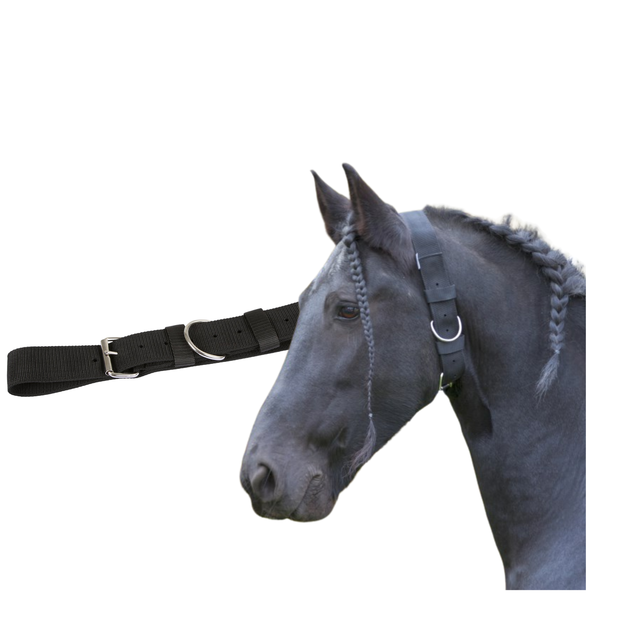 Collar de atado o para campana/cencerro