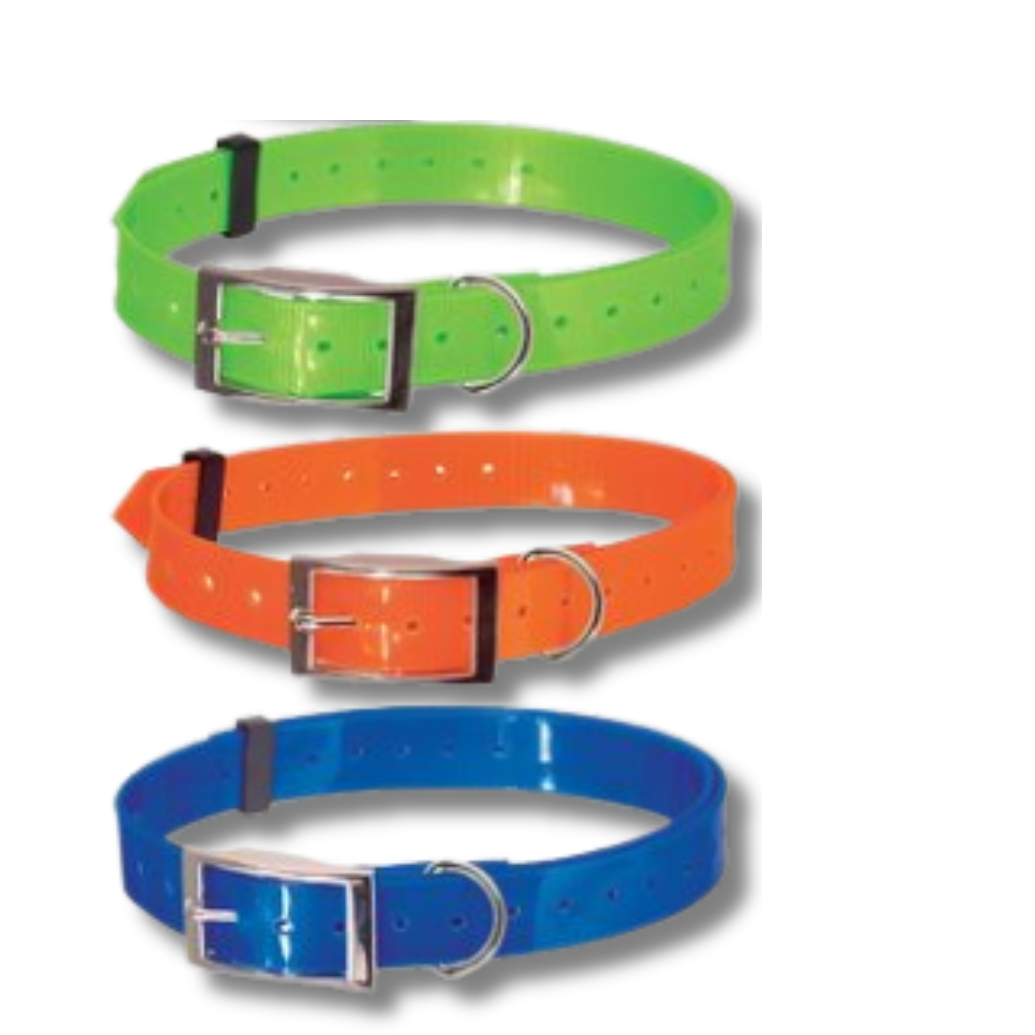 Collar nylon poliuretano ovino