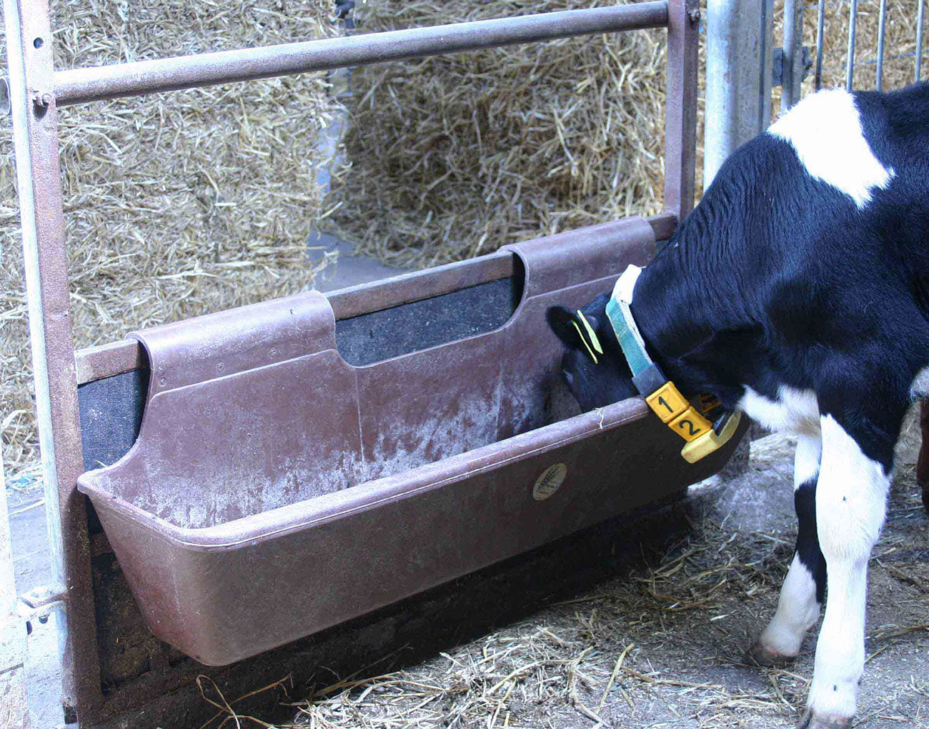 Comedero bebedero de colgar