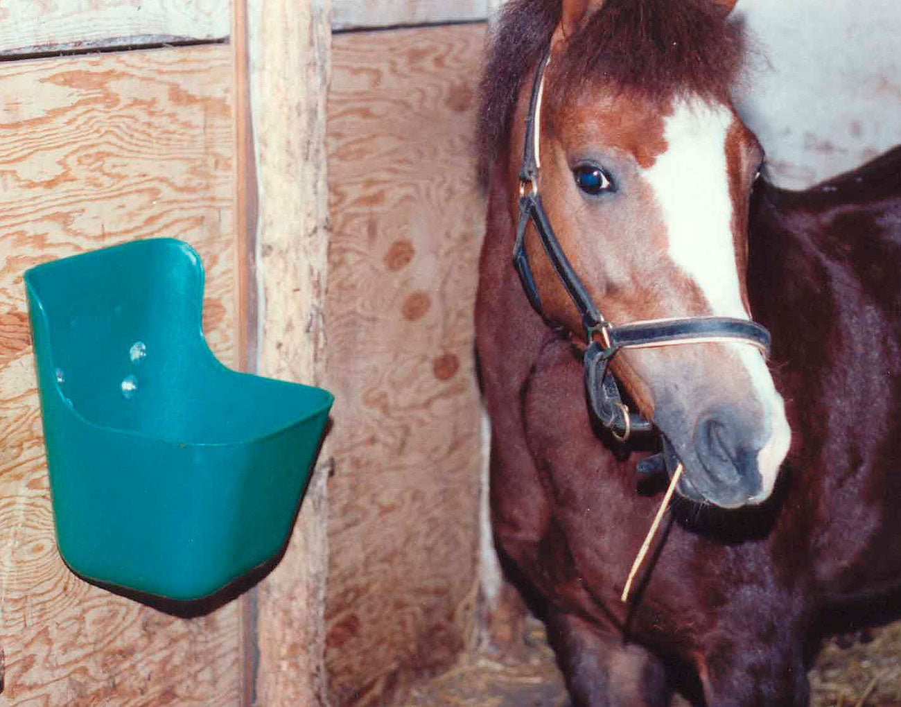 Comedero mural sencillo