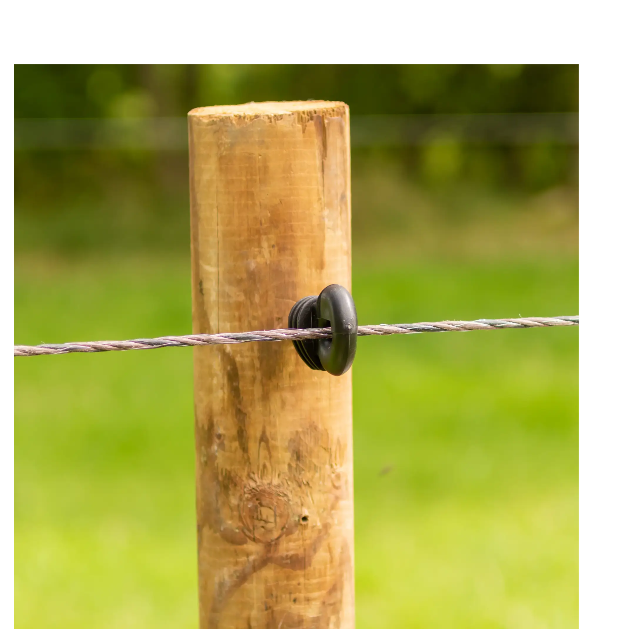 Cordón nylon EconomyLine Rope Terra