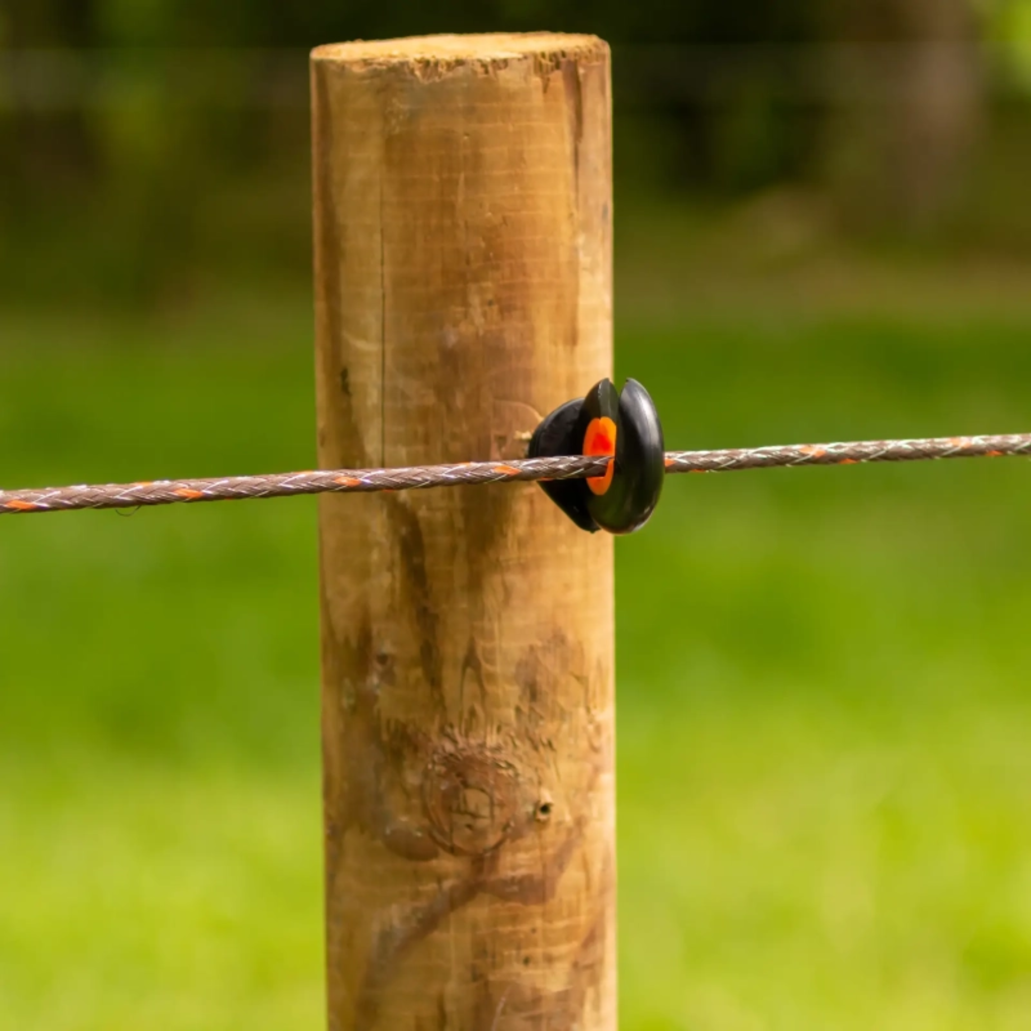 Cordón TurboLine Rope Terra pequeño