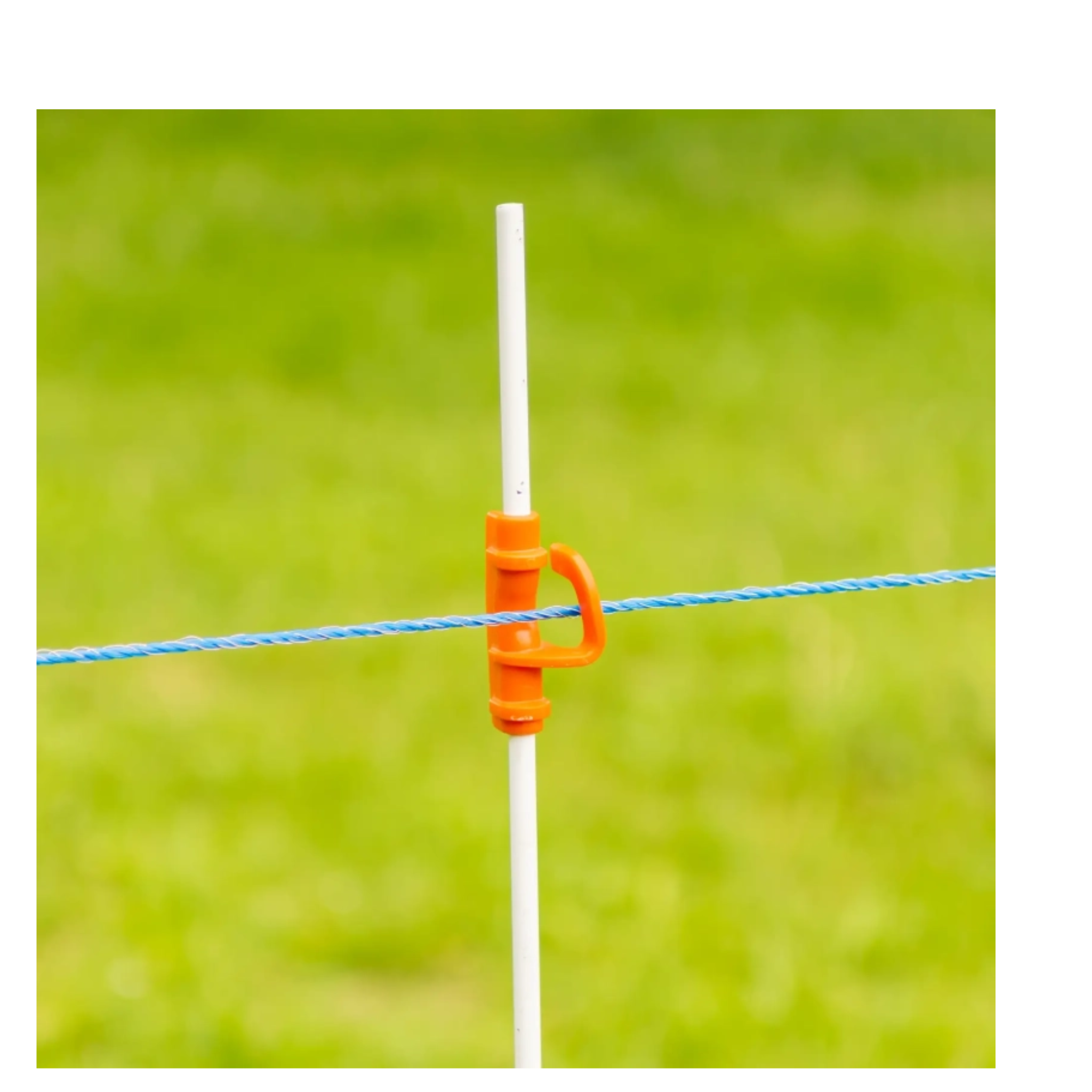 Cordón nylon para animales salvajes TurboLine