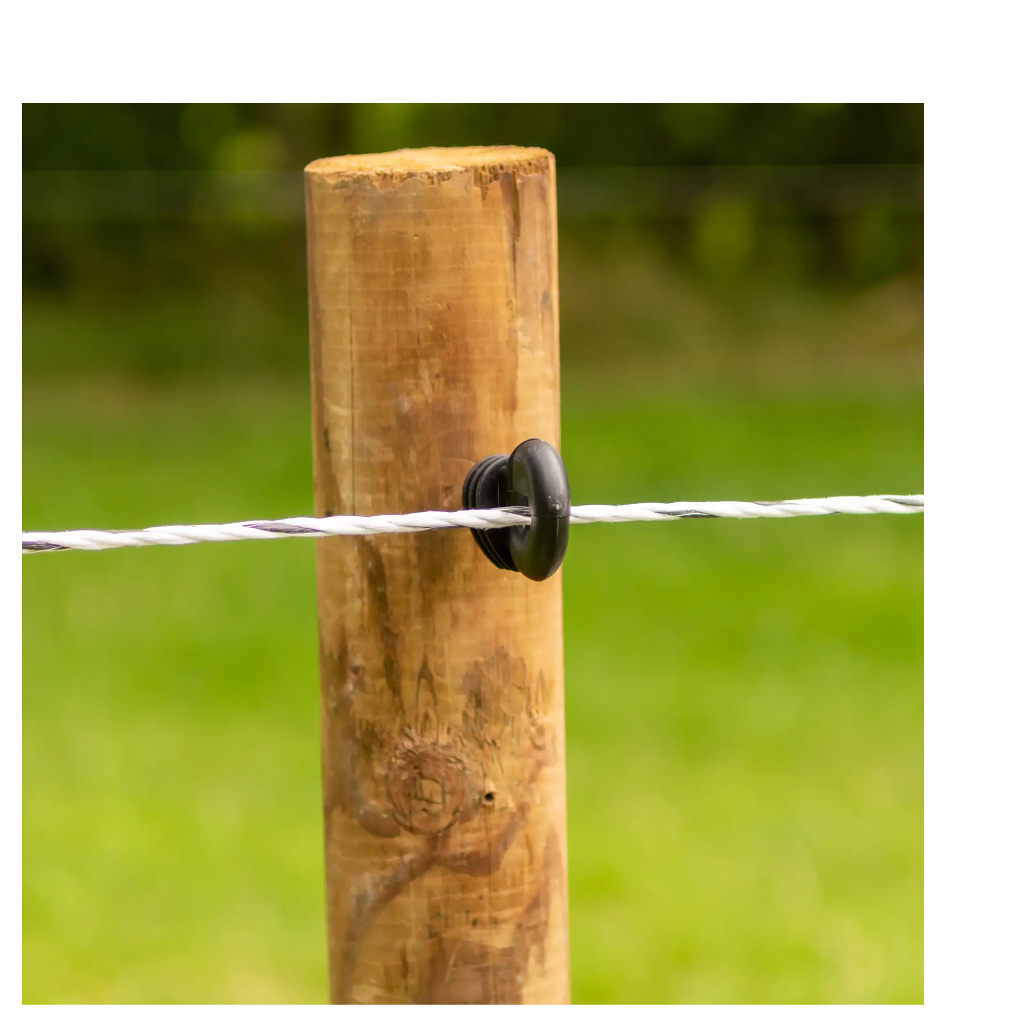 Cordón nylon EconomyLine Rope