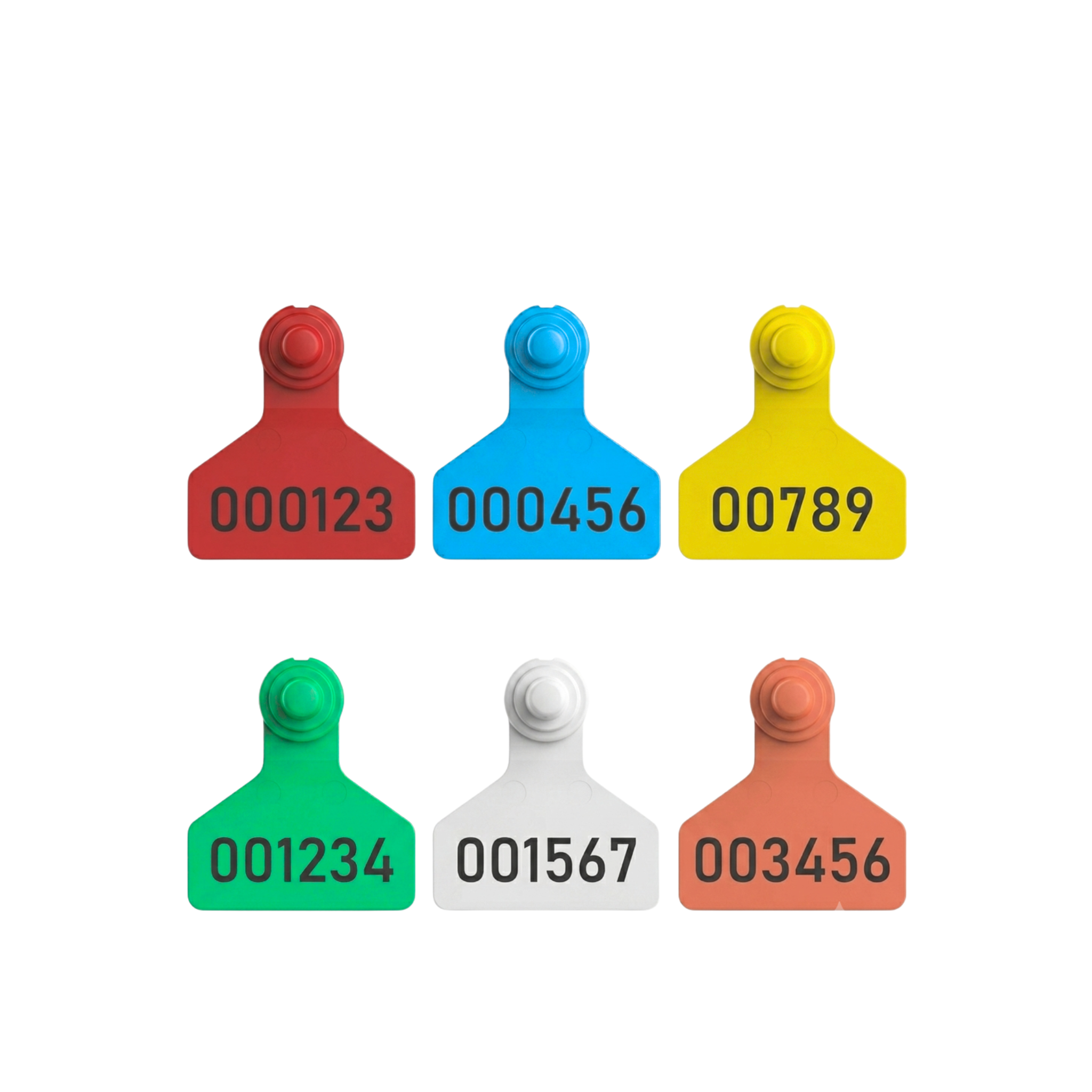 Crotal hembra junior numerada F411