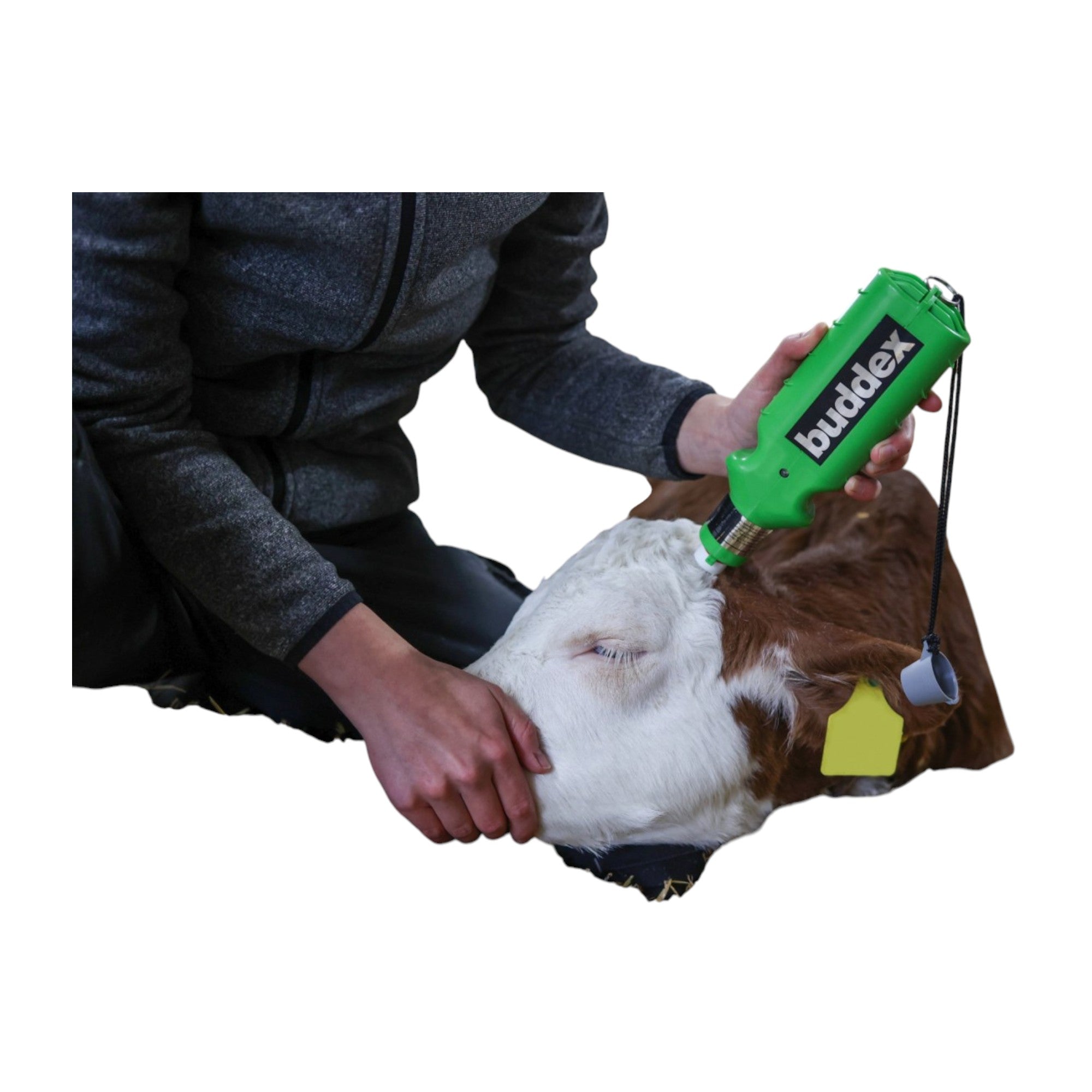 Descornador Buddex a batería recargable