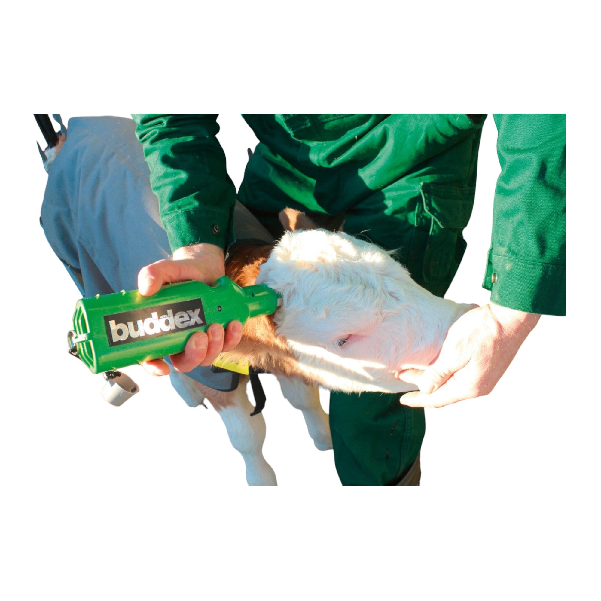 Descornador Buddex a batería recargable