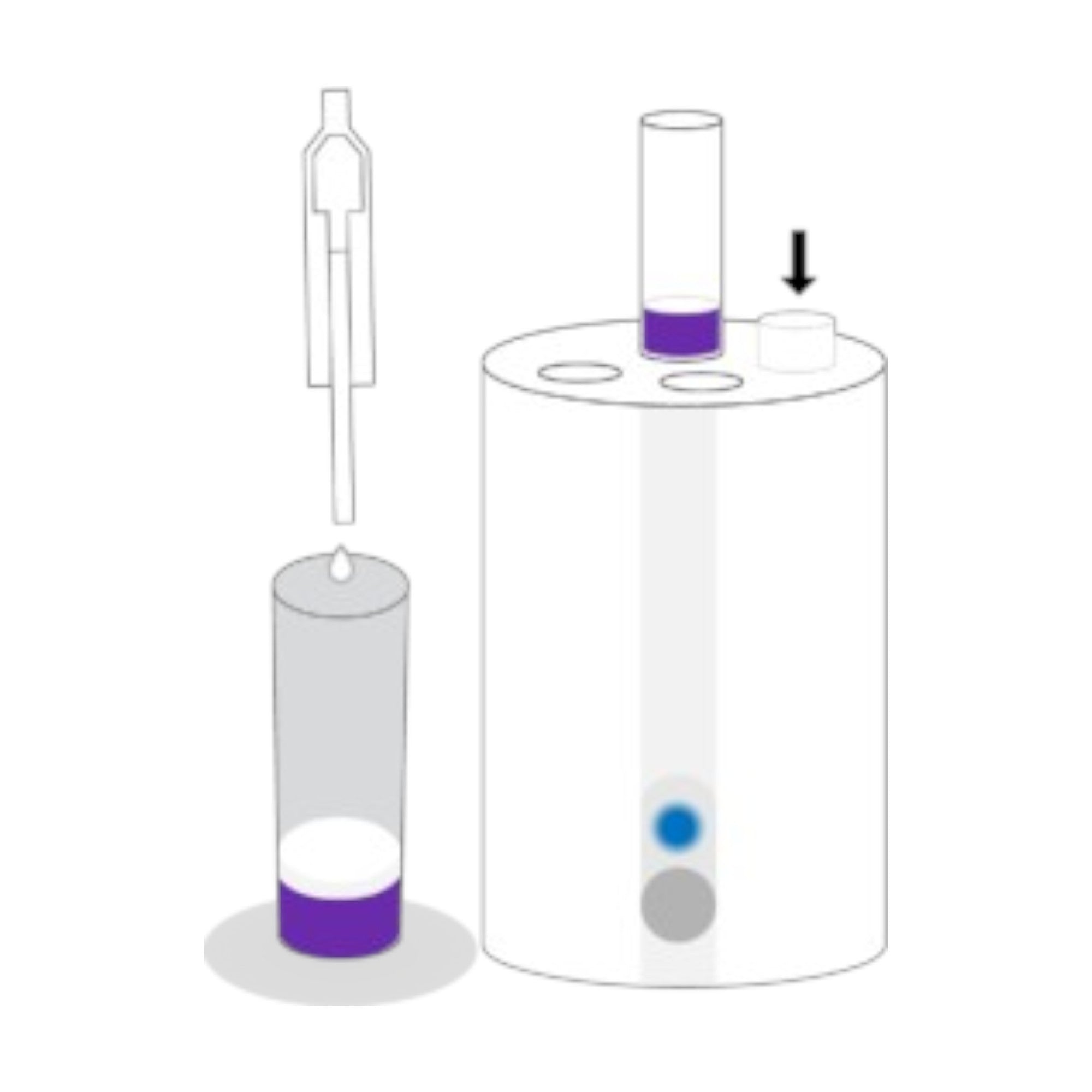 Equipo COMET 4 a Red