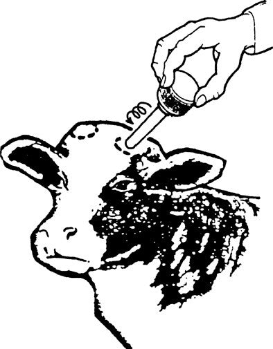 Lápiz cáustico descornador