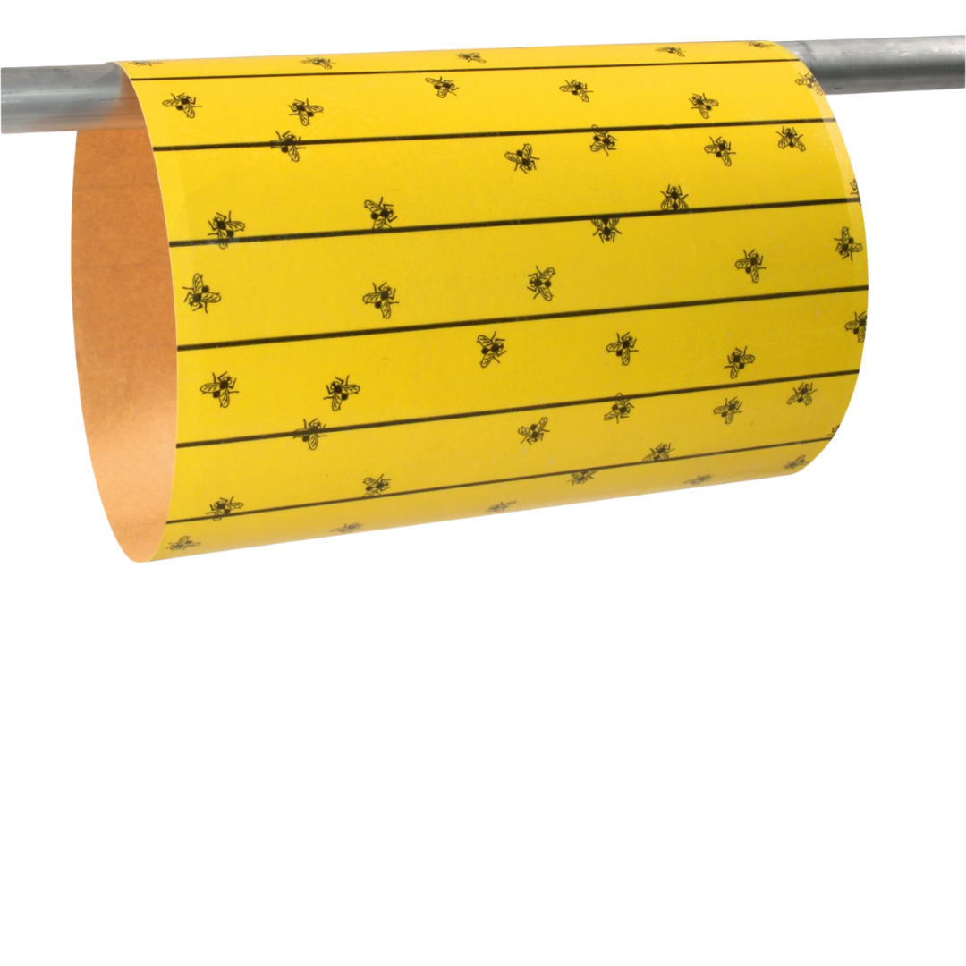 FlyMaster Flypaper