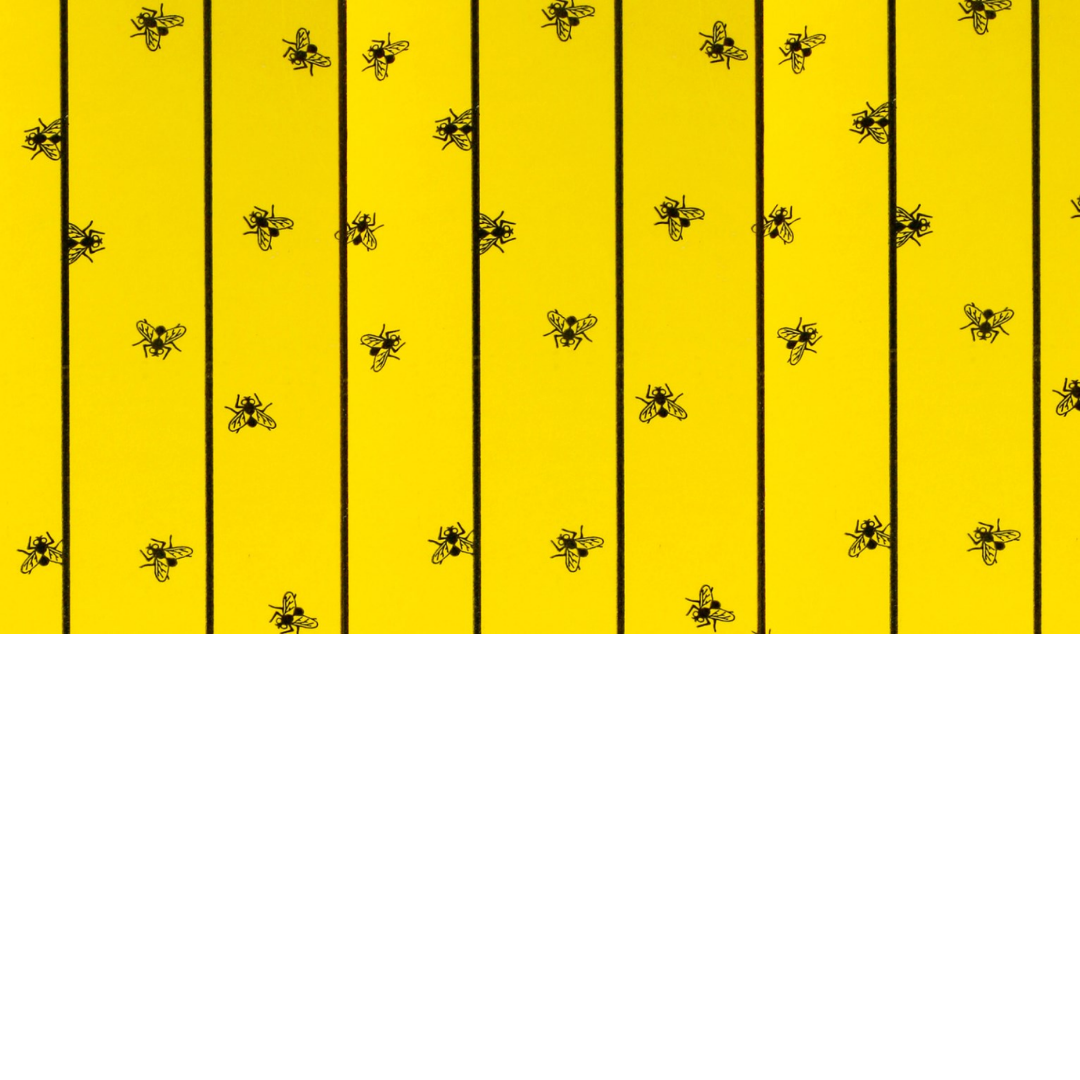 FlyMaster Flypaper