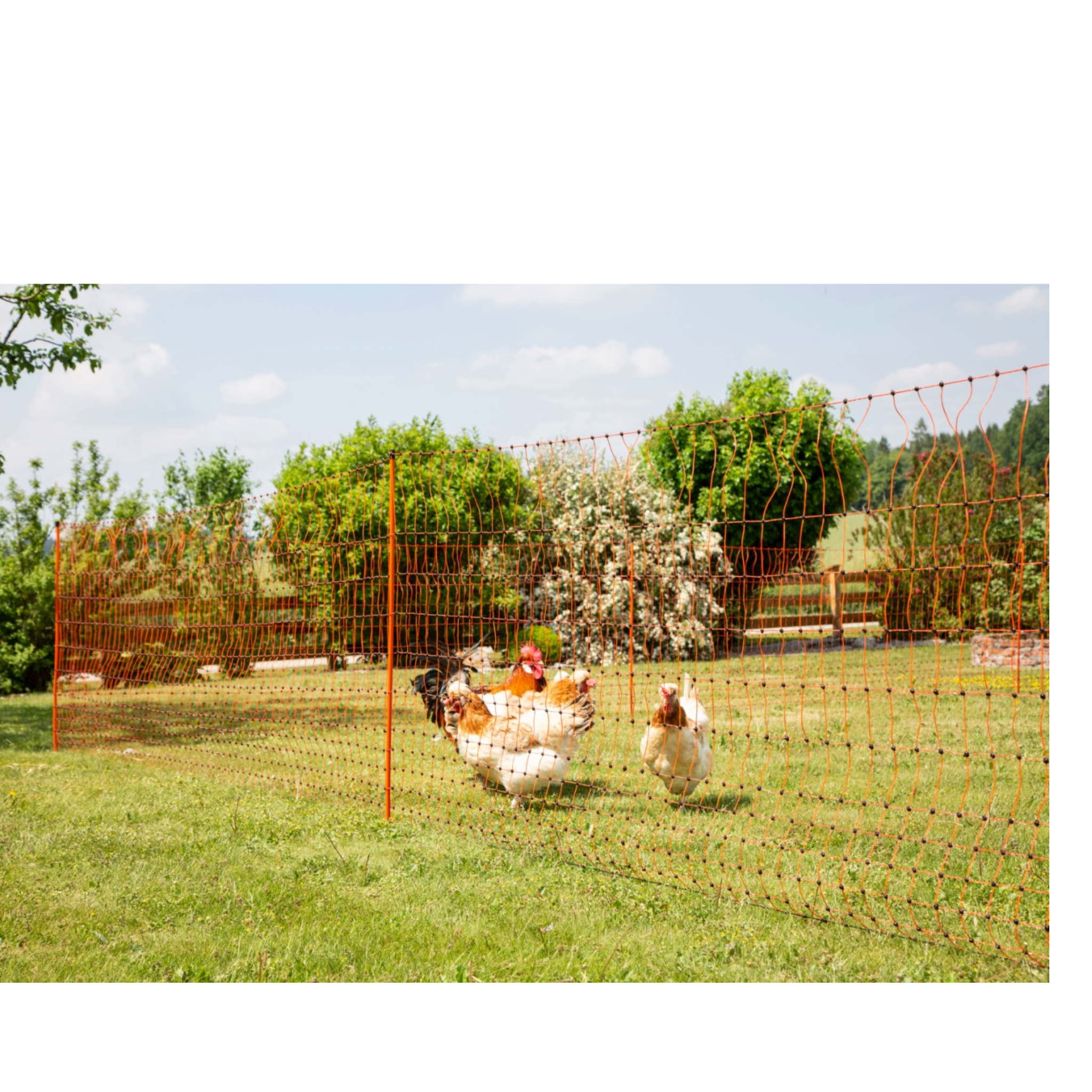 Malla electrificable aves y conejos piqueta doble punta