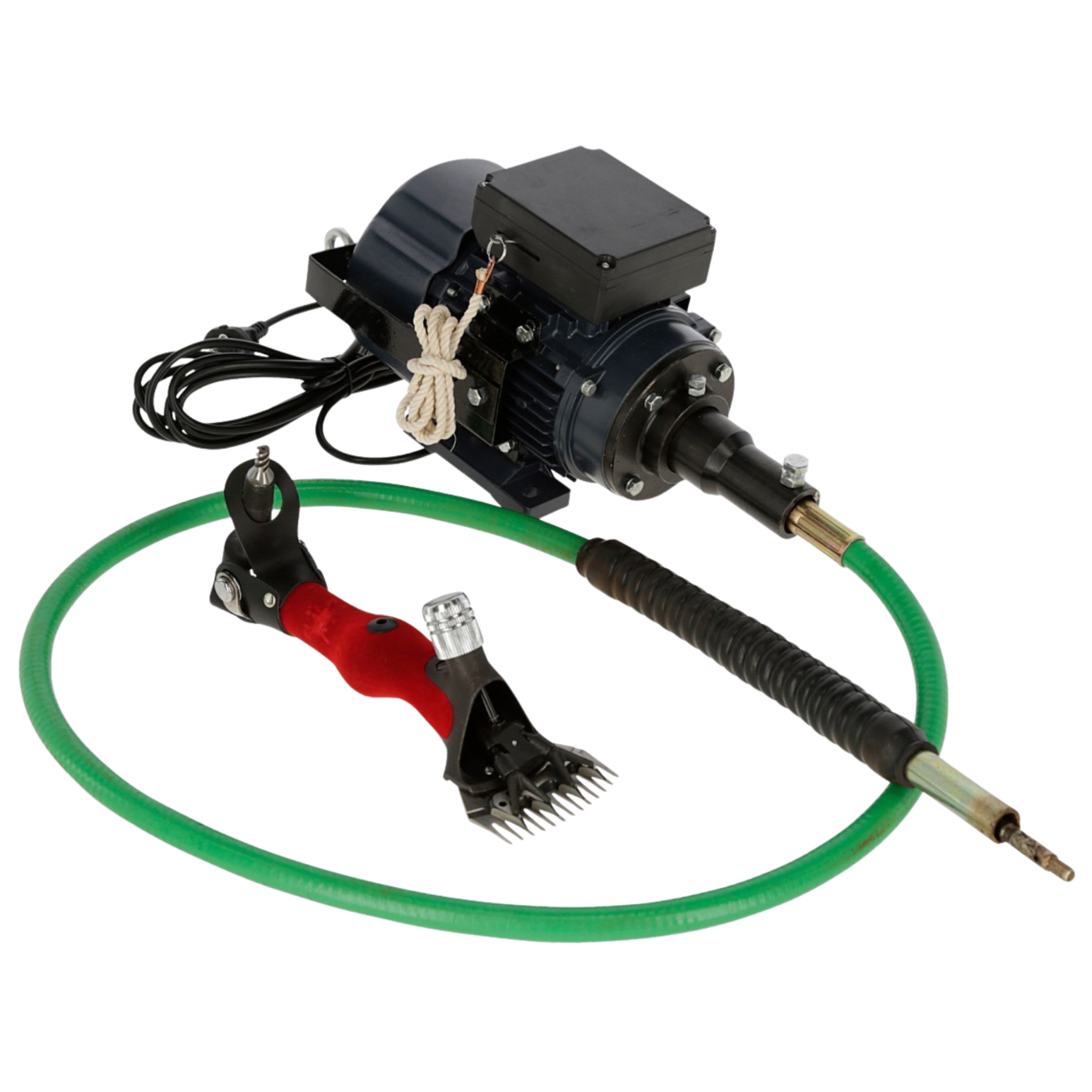 Sirga completa Wellington