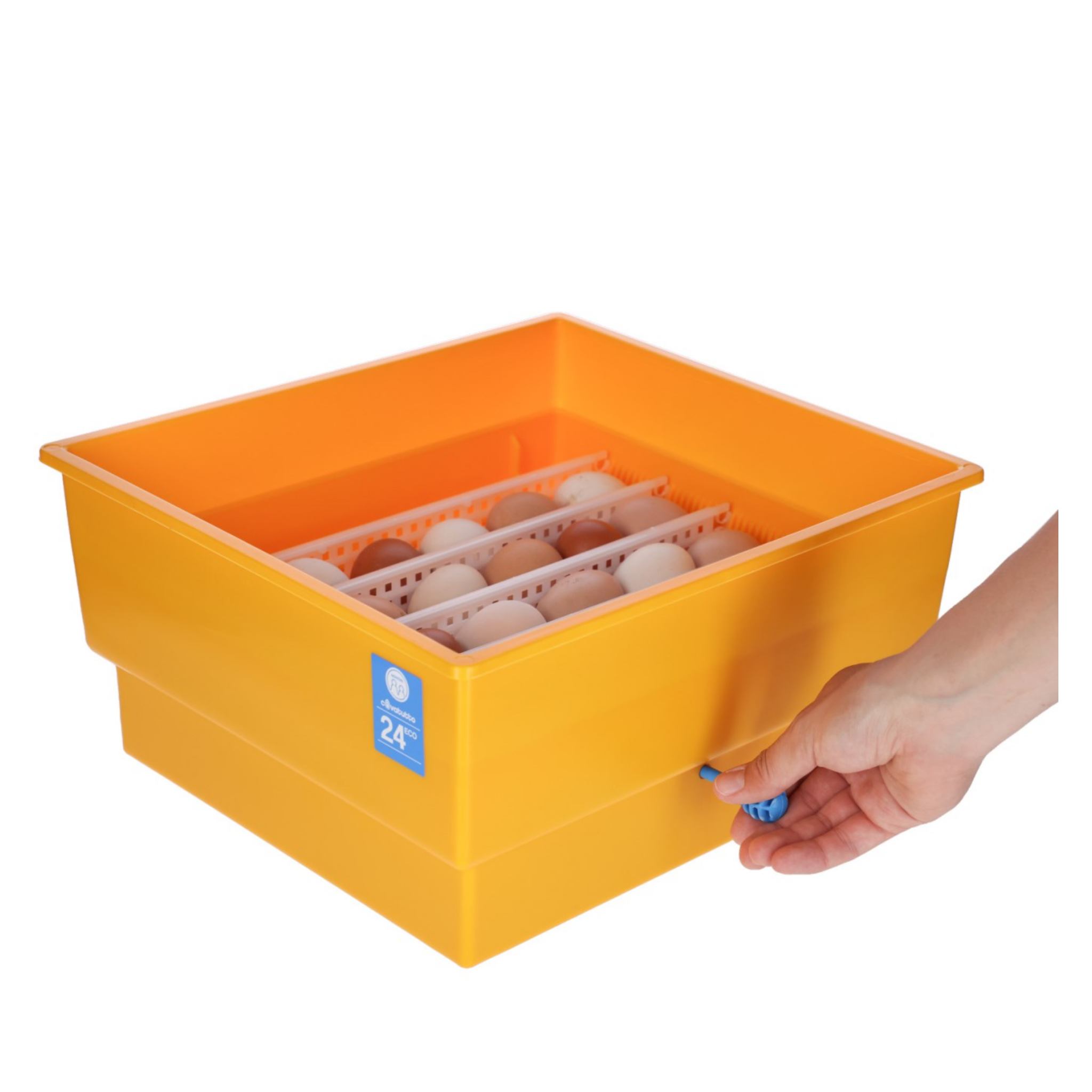 Kit Incubadora Maxi y motor de giro
