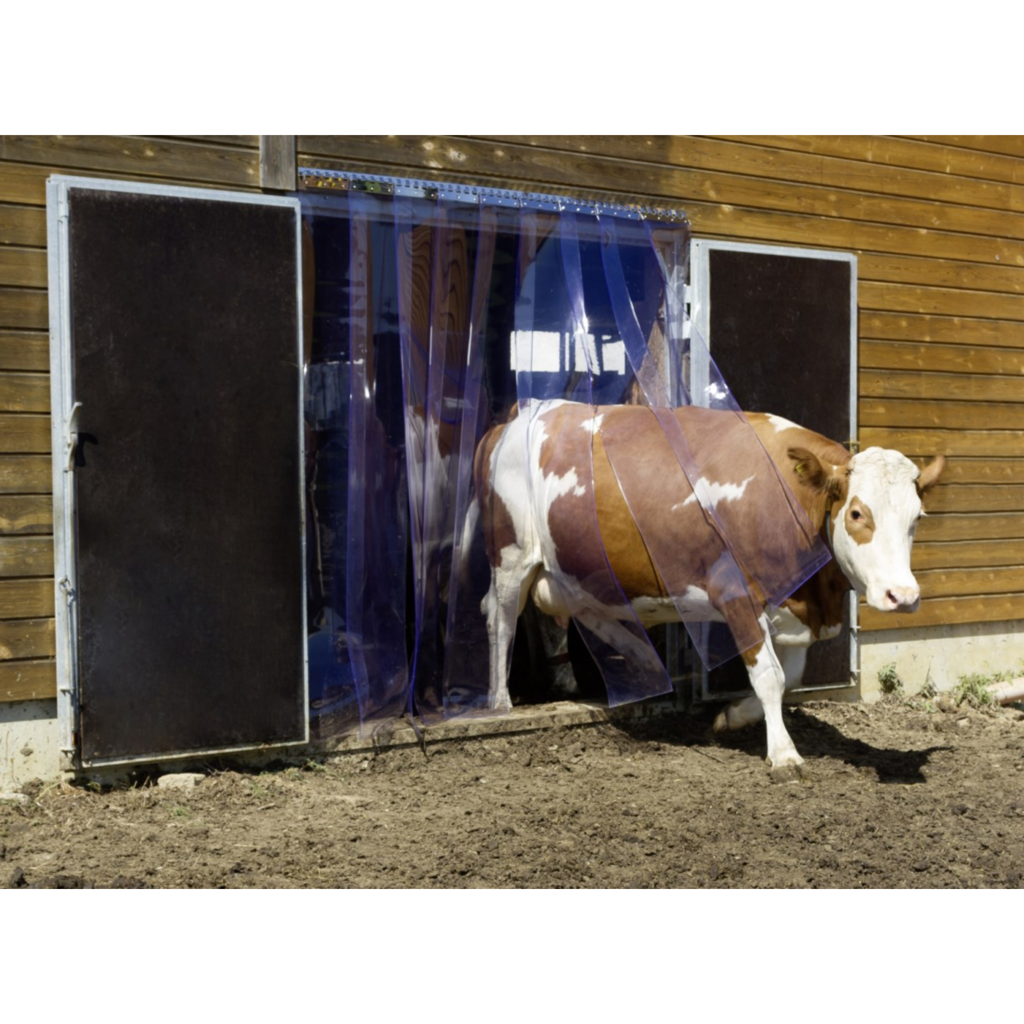 Juego de cortina tiras PVC