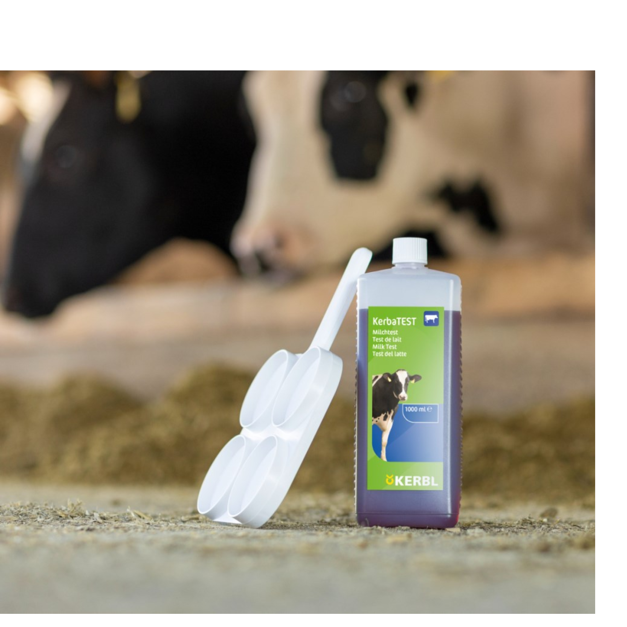 KerbaTEST Reactivo test california