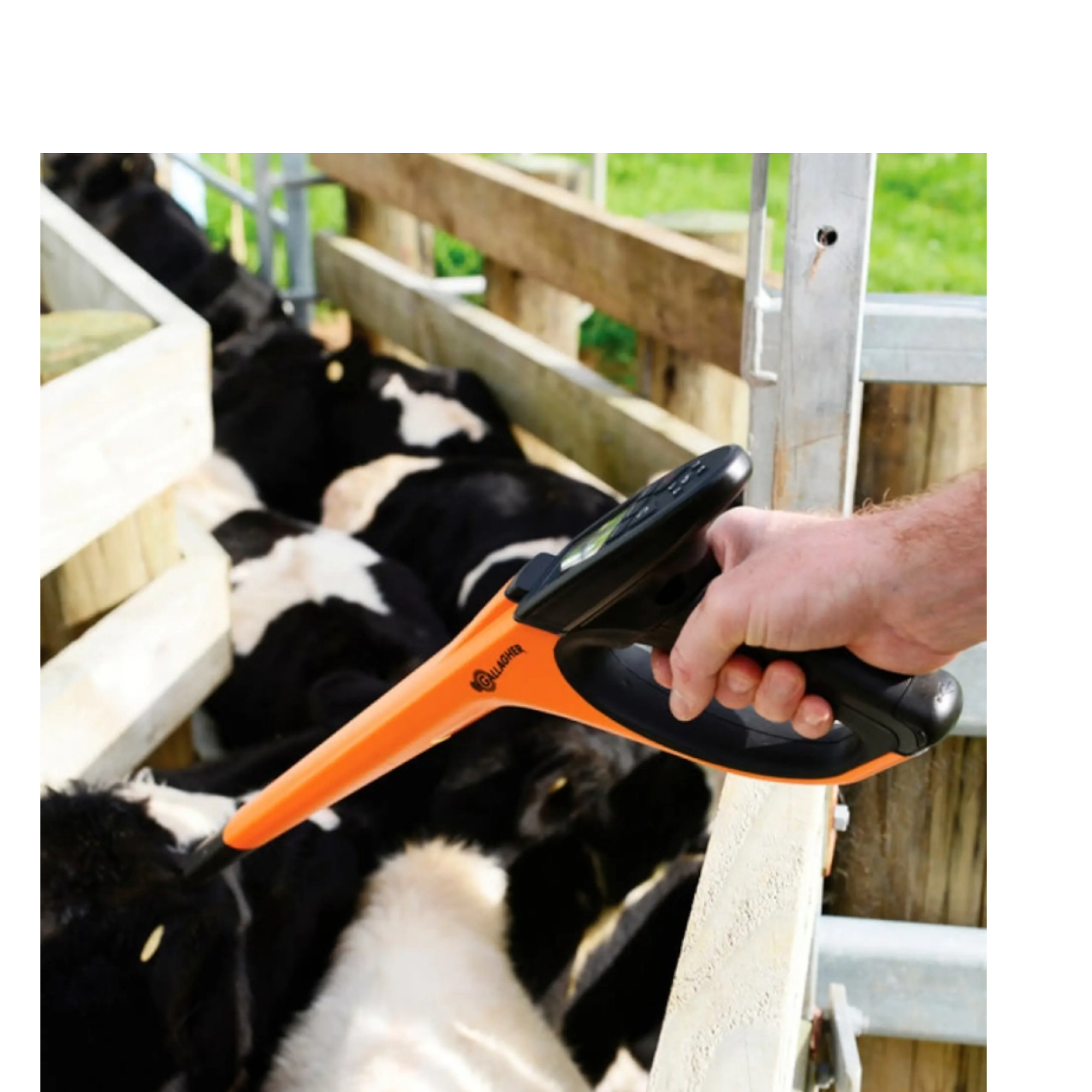 Lector de mano Modelo HR4