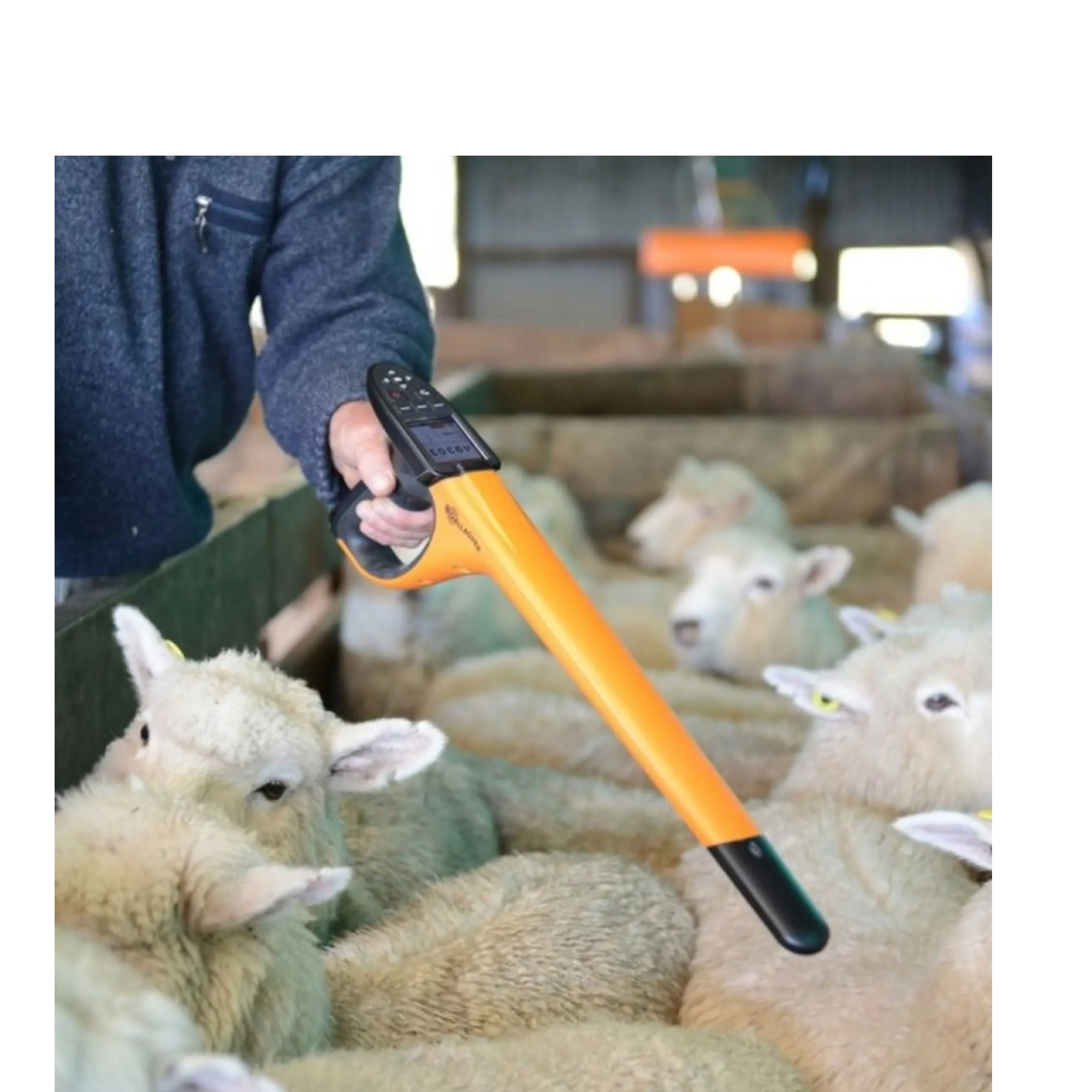 Lector de mano Modelo HR4