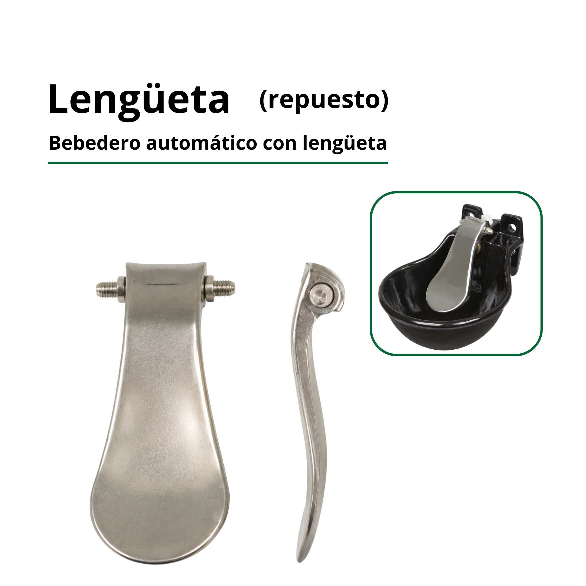 Lengüeta