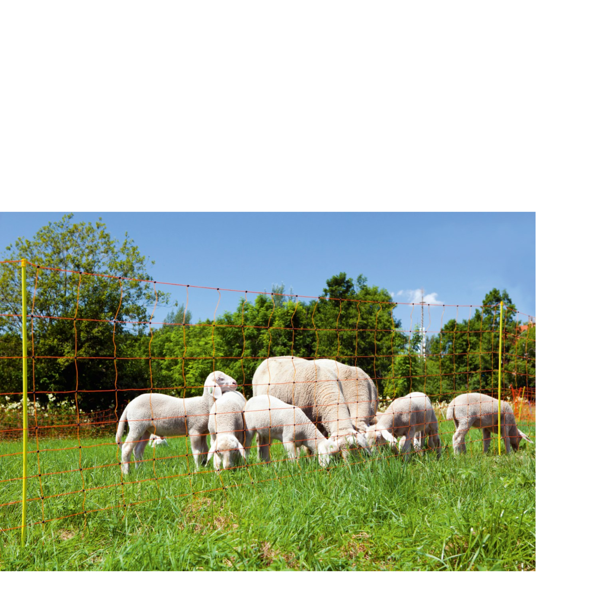 Malla electrificable para ovejas AKO OviNet