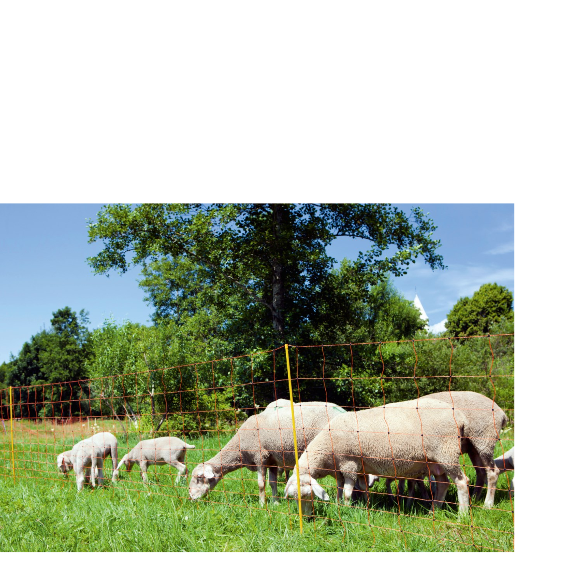 Malla electrificable para ovejas AKO OviNet