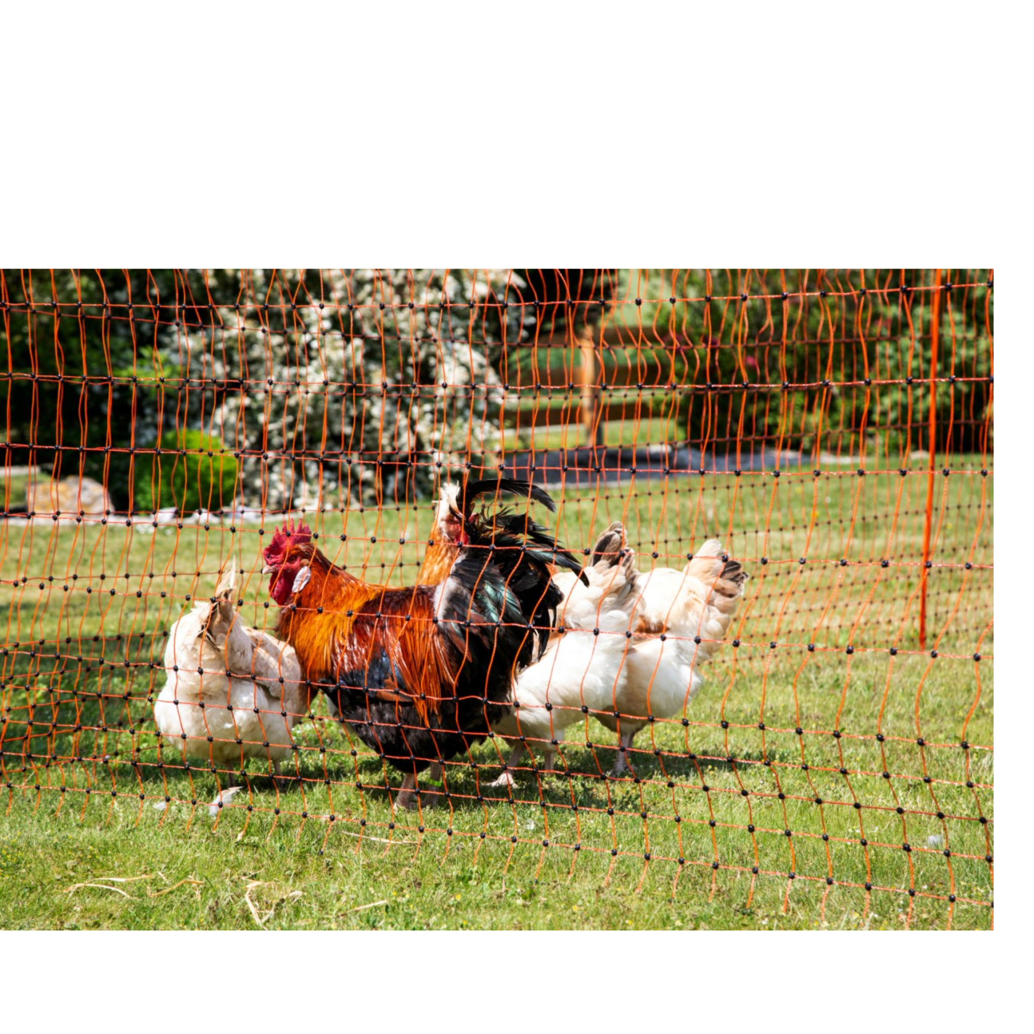 Malla electrificable aves y conejos piqueta doble punta