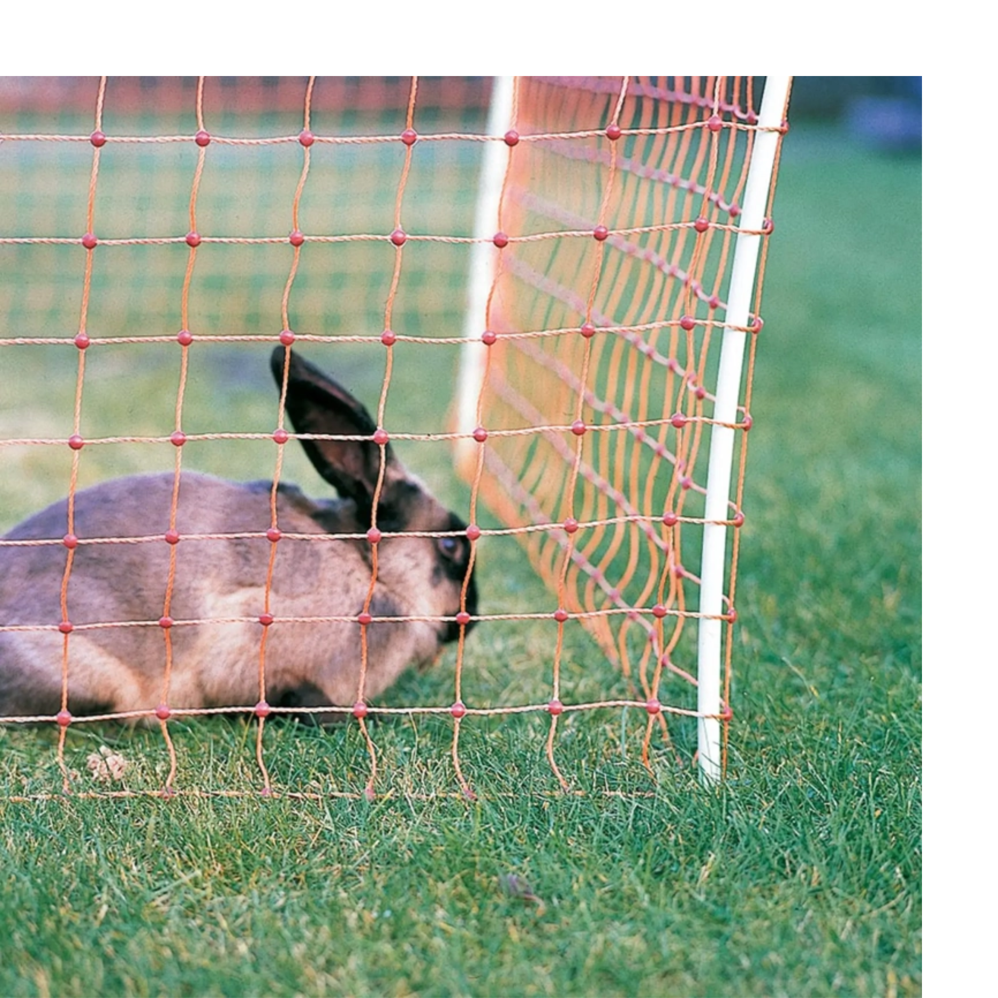 Malla electrificable hobby para conejos