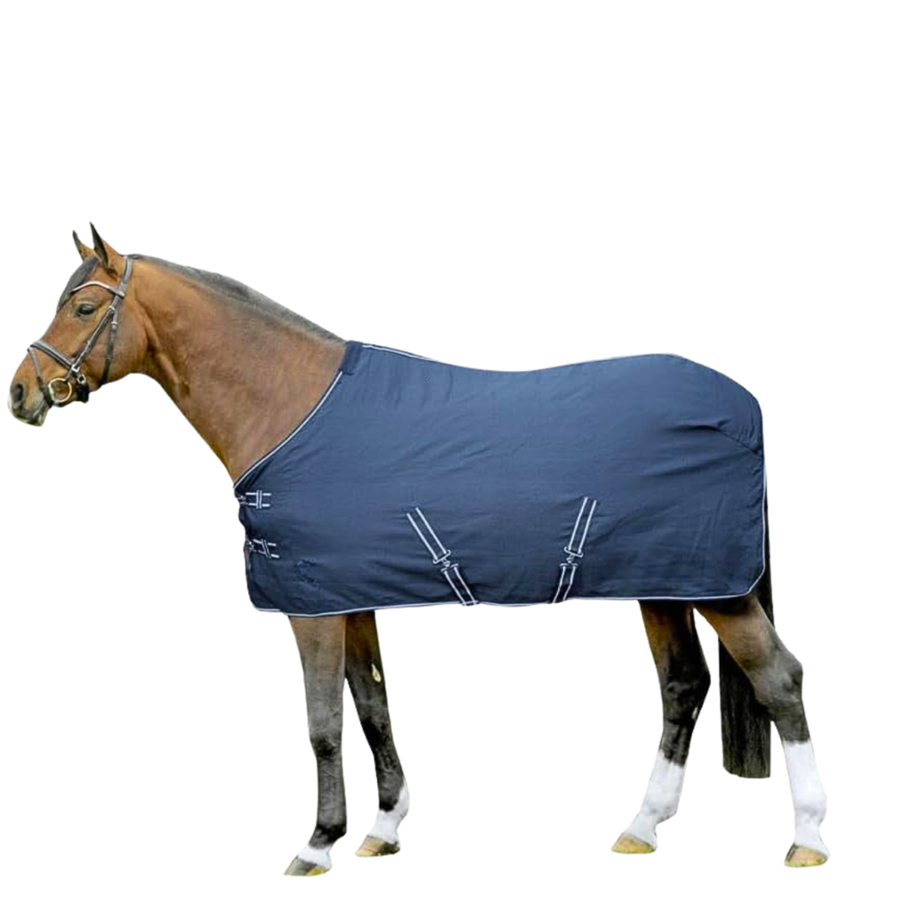 Manta protectora para invierno