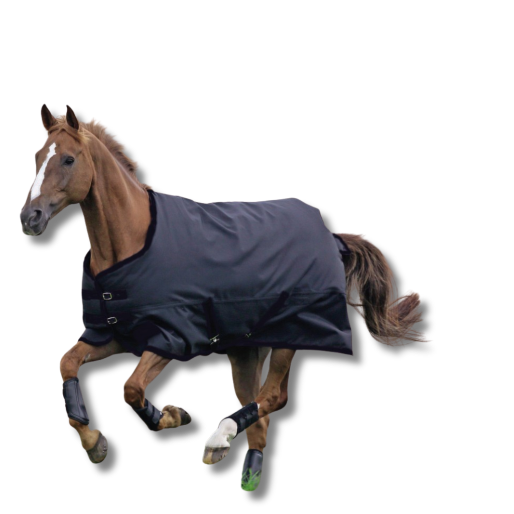 Manta protectora para invierno